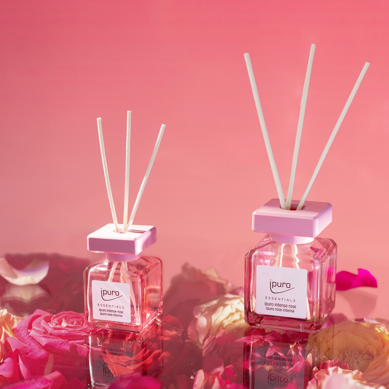 ipuro ESSENTIALS Raumduft Intense Rose