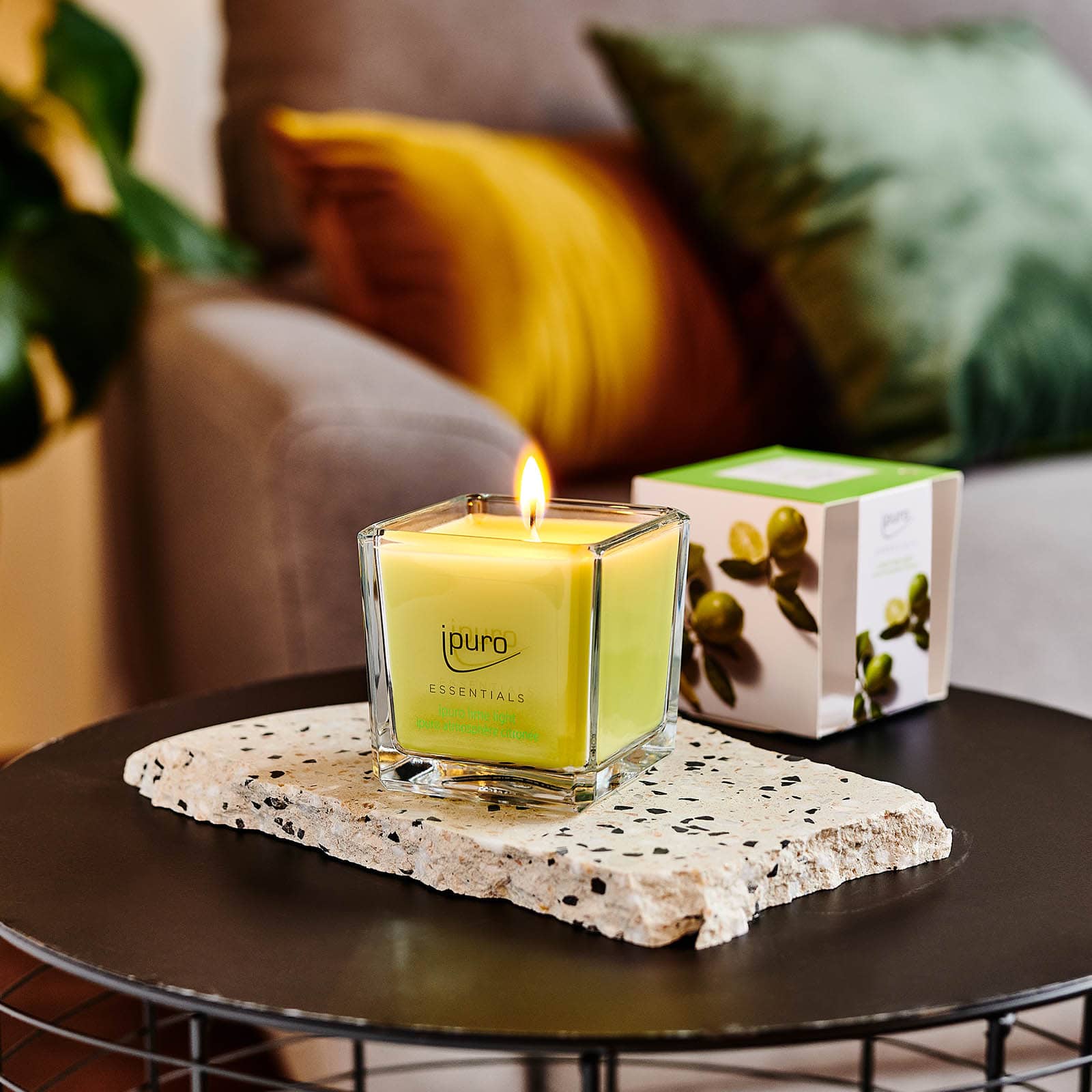 ipuro ESSENTIALS Duftkerze Lime Light
