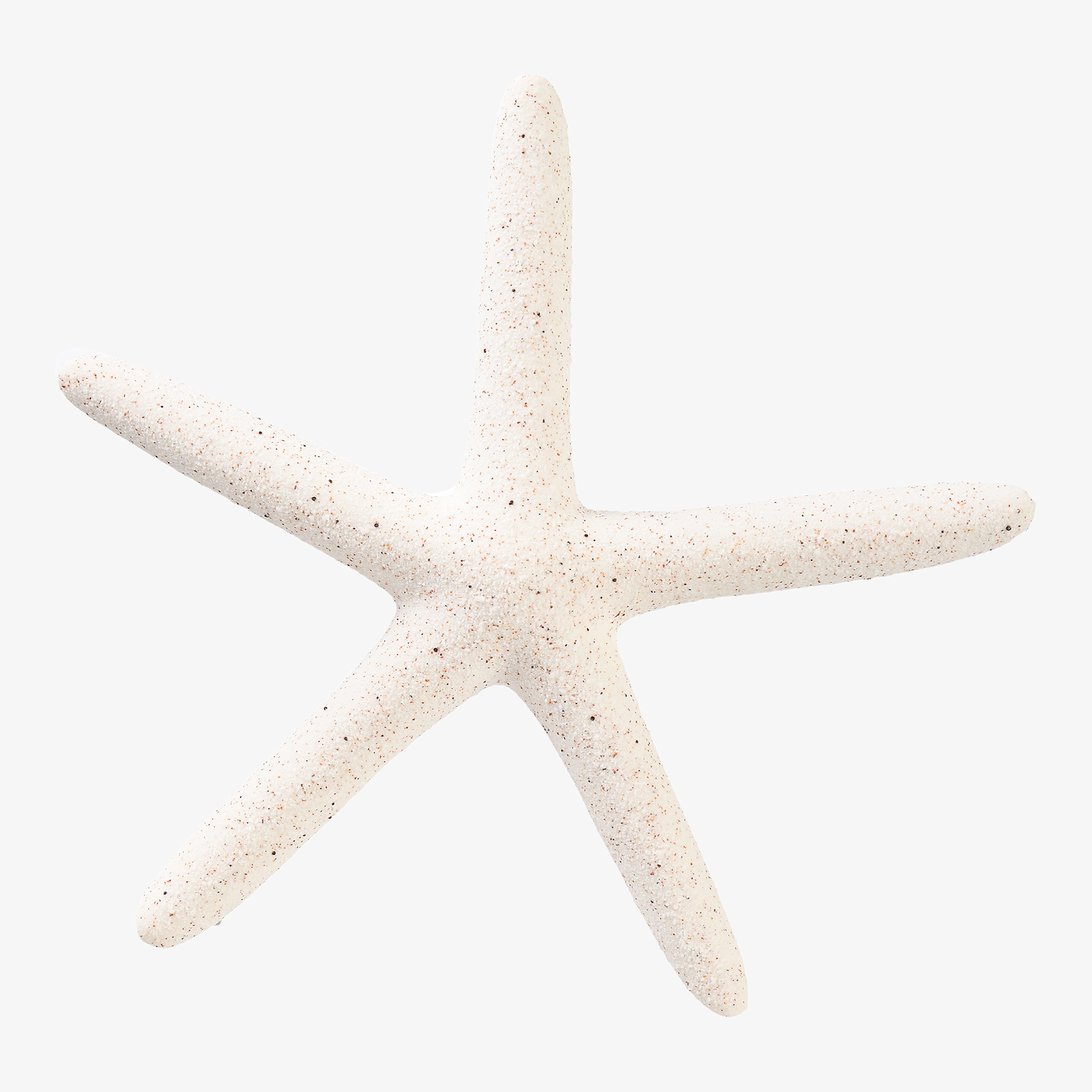Deko-Objekt Seestern