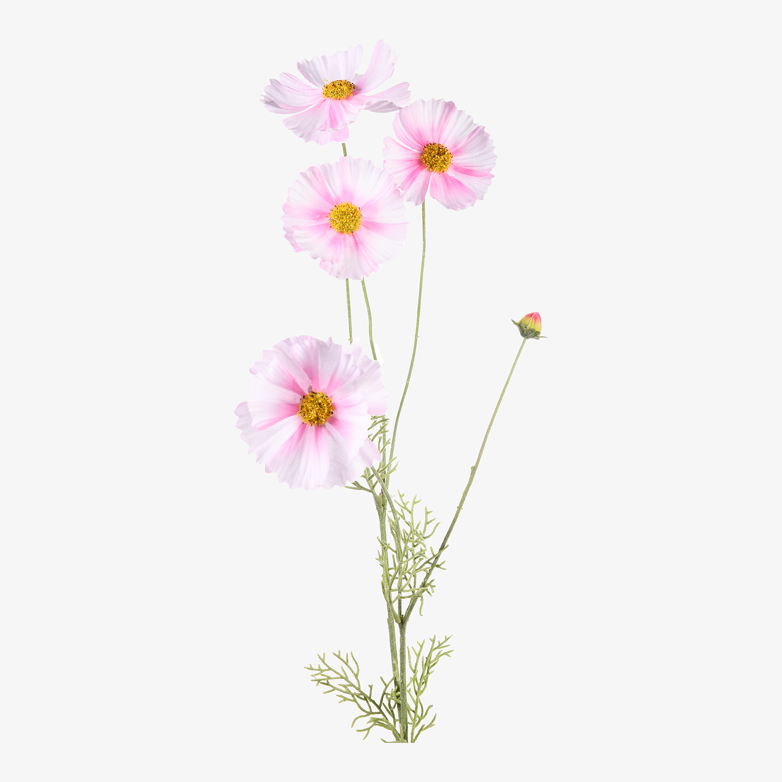 Kunstblume Cosmea