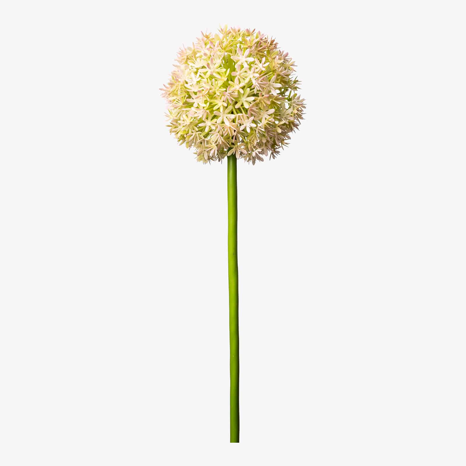 Kunstblume Allium