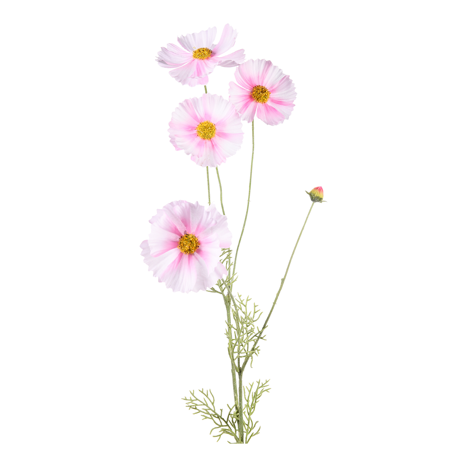 Kunstblume Cosmea