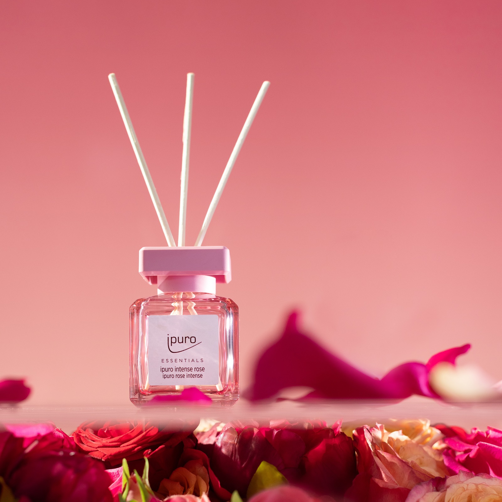 ipuro ESSENTIALS Raumduft Intense Rose