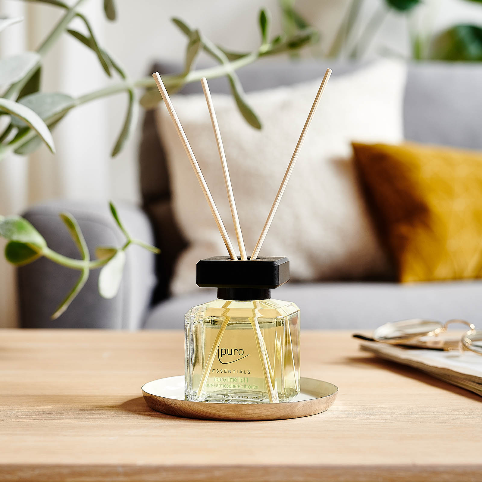 ESSENTIALS Raumduft Lime Light
