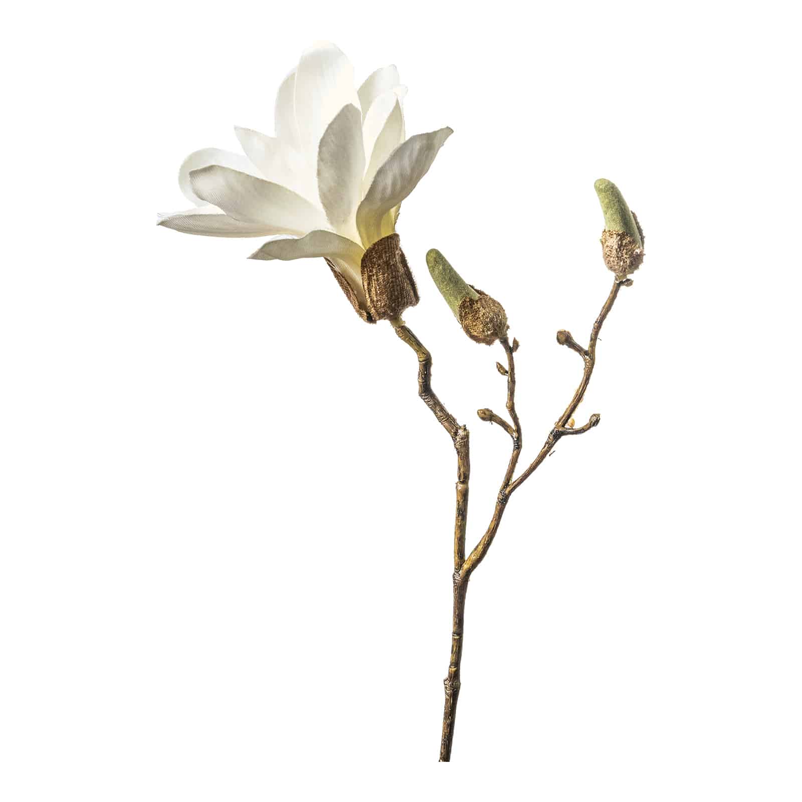 Kunstzweig Magnolie