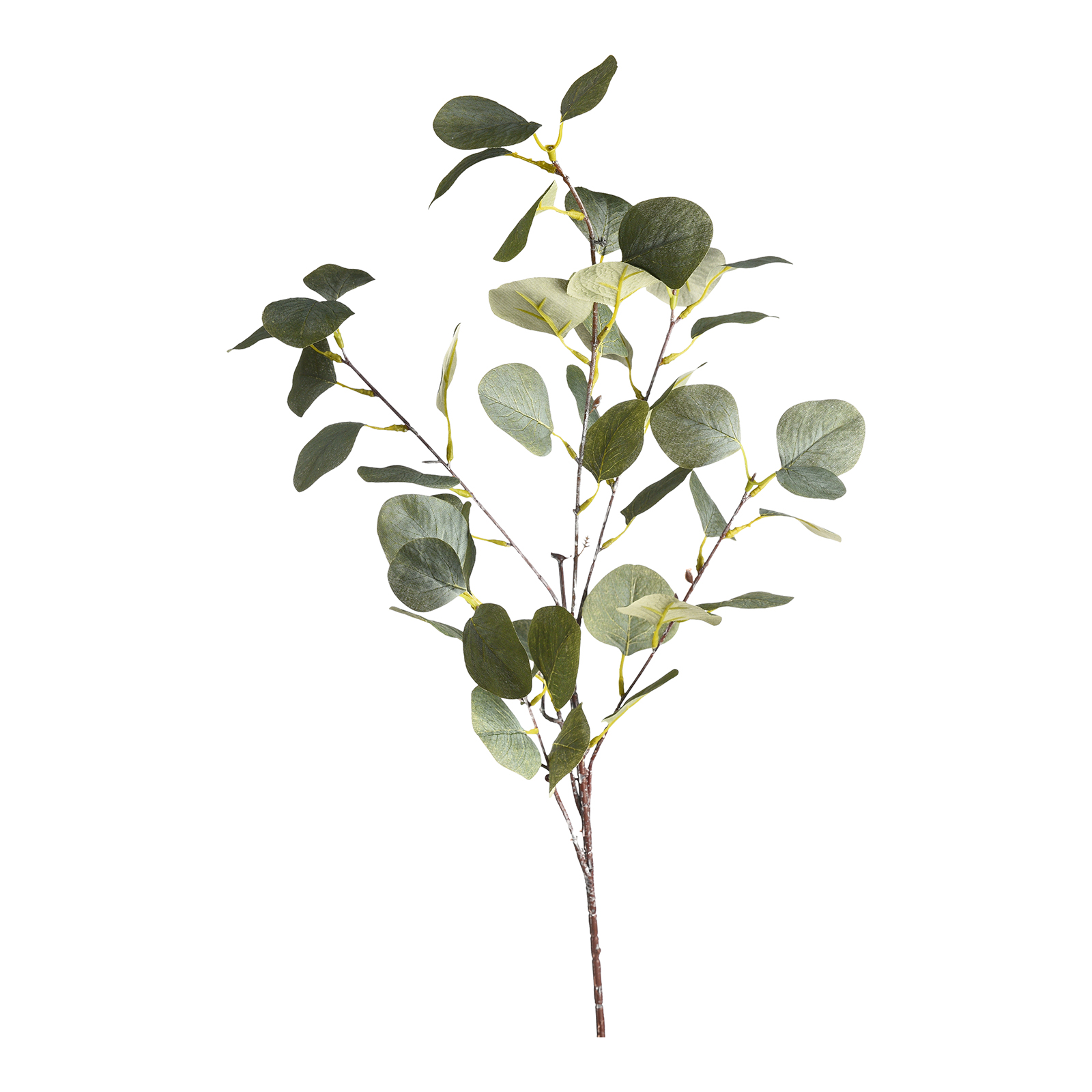Kunstzweig Eukalyptus