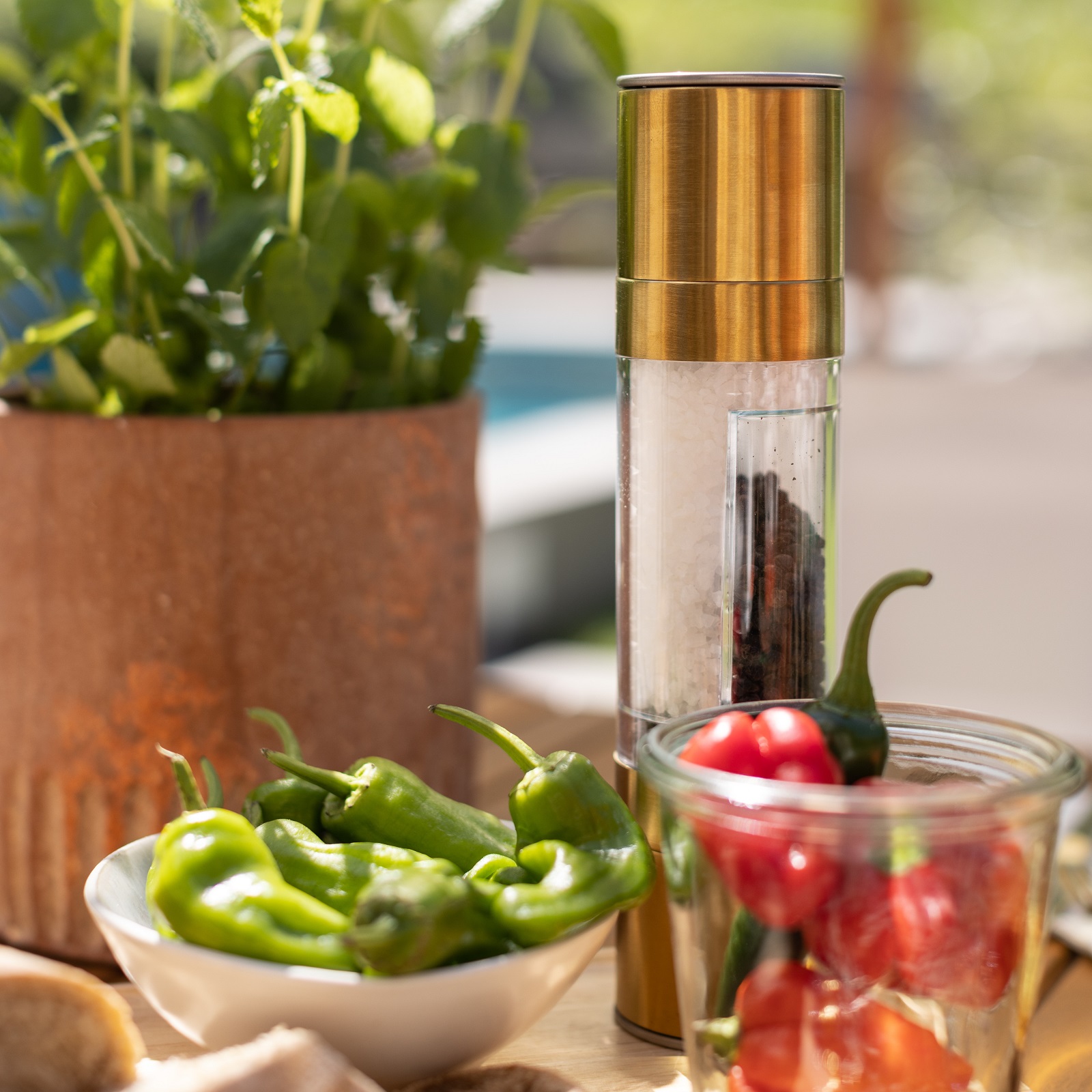 Gewürzmühle Salz & Pfeffer