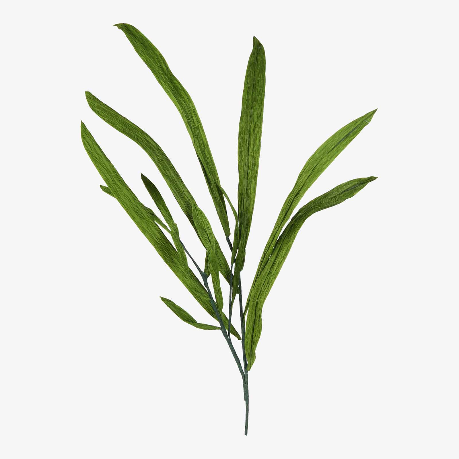 Papier-Zweig Grashalm