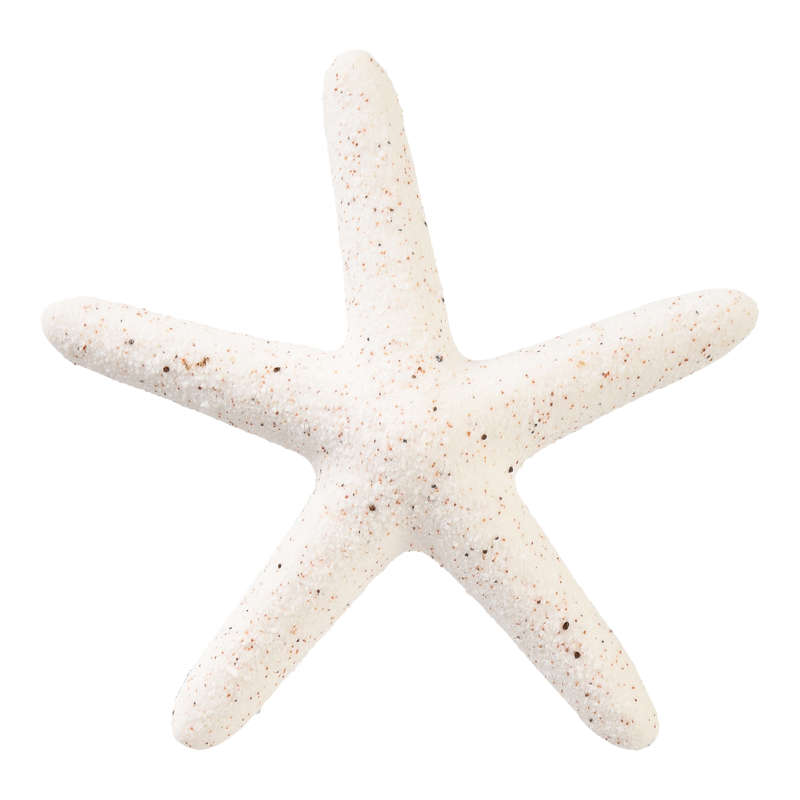 Deko-Objekt Seestern