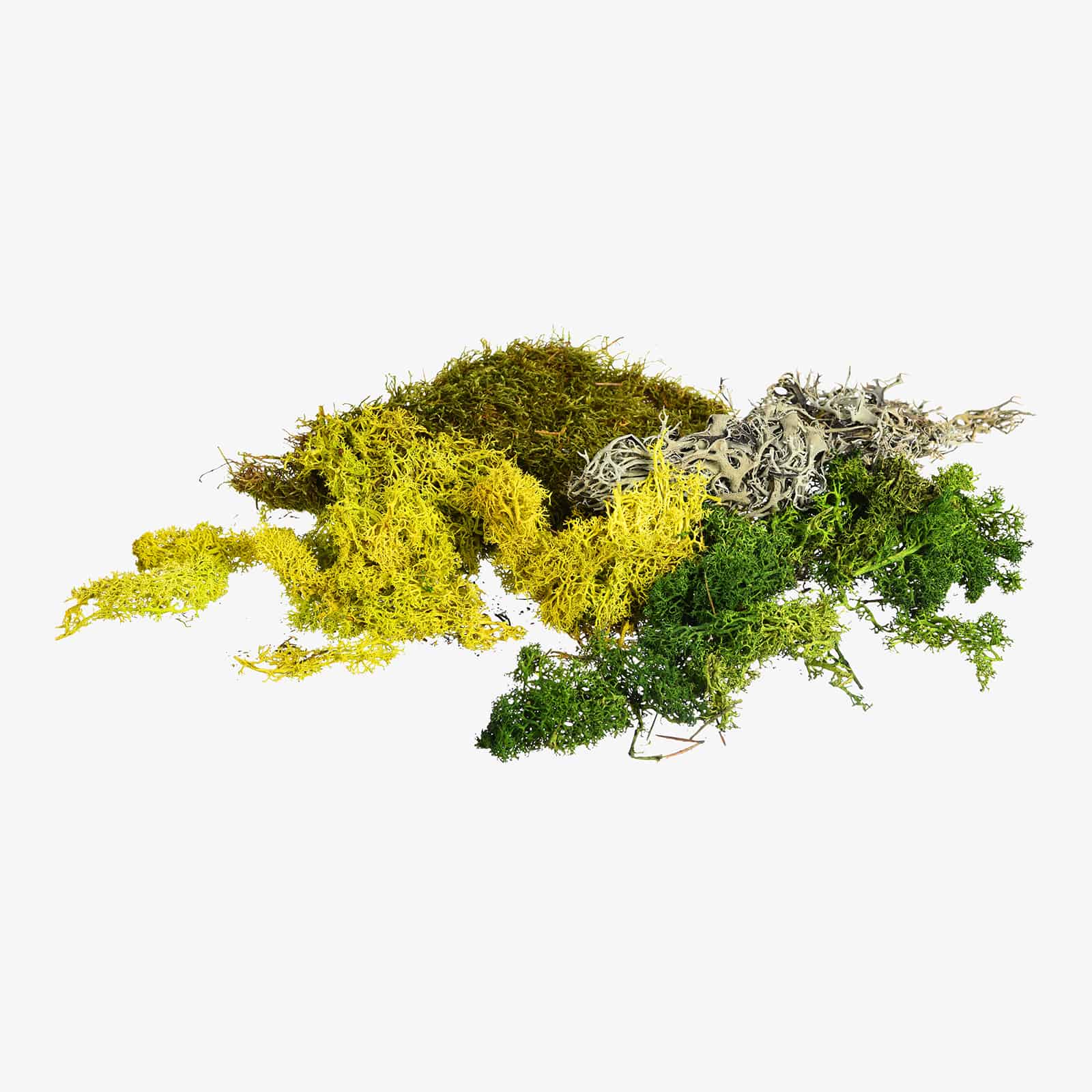Deko-Moosmix Green
