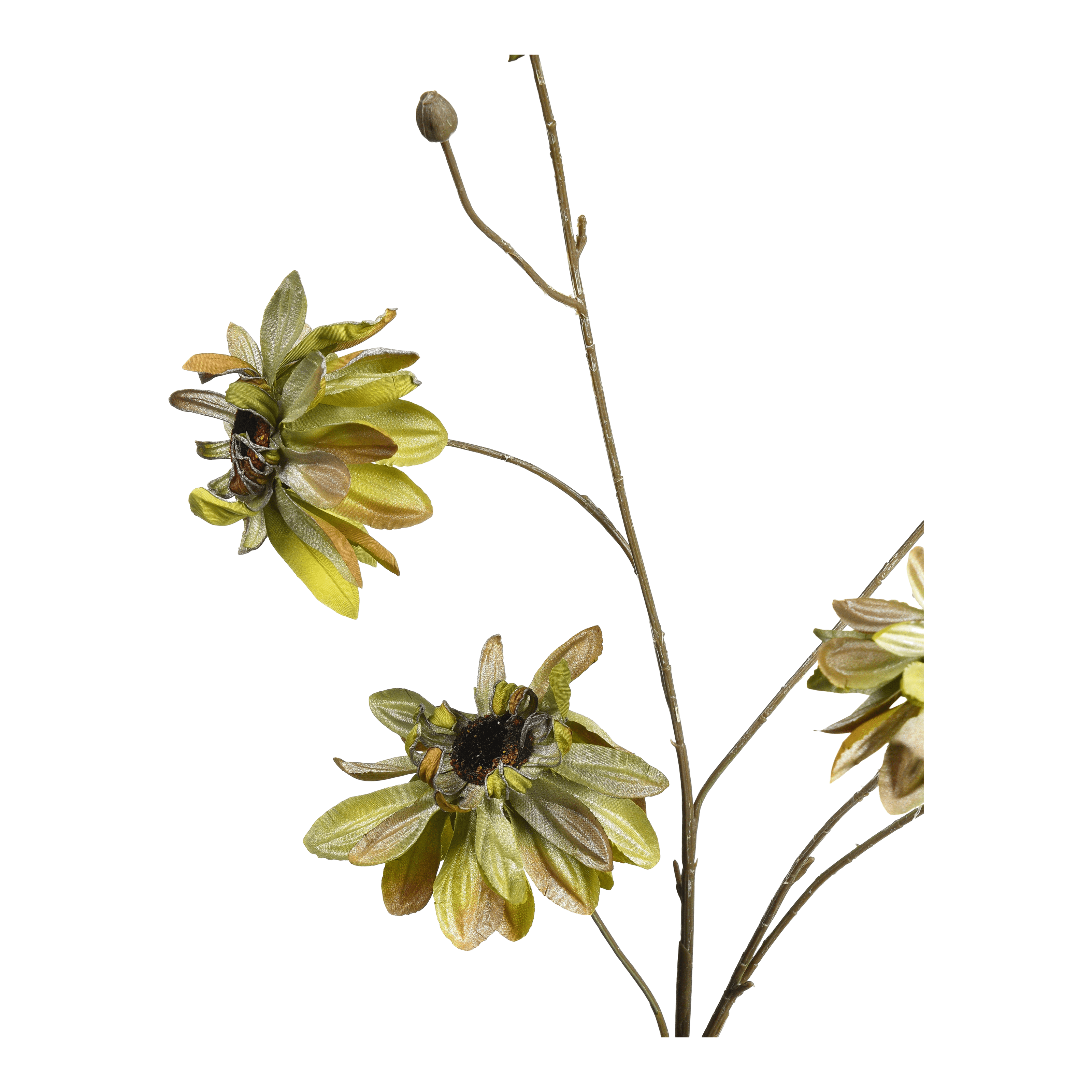 Kunstblume Sonnenhut