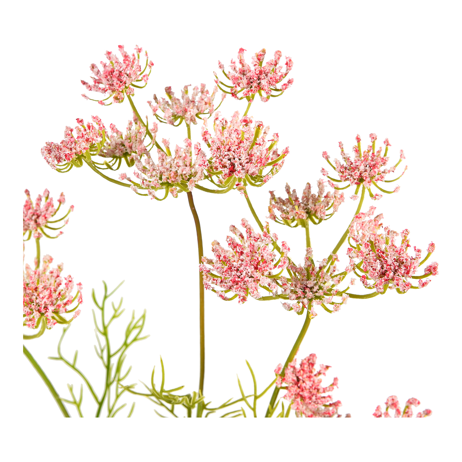 Kunstblume Wiesendill