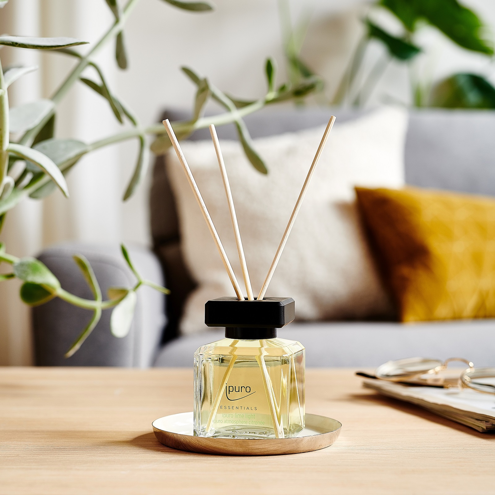 ipuro ESSENTIALS Raumduft Lime Light