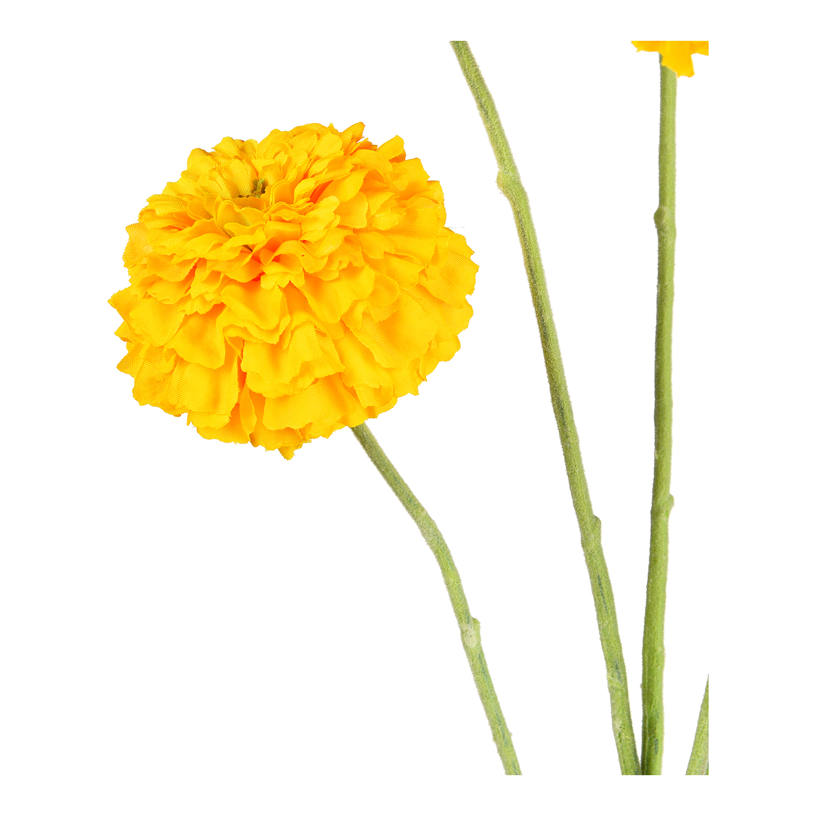Kunstblume Tagetes