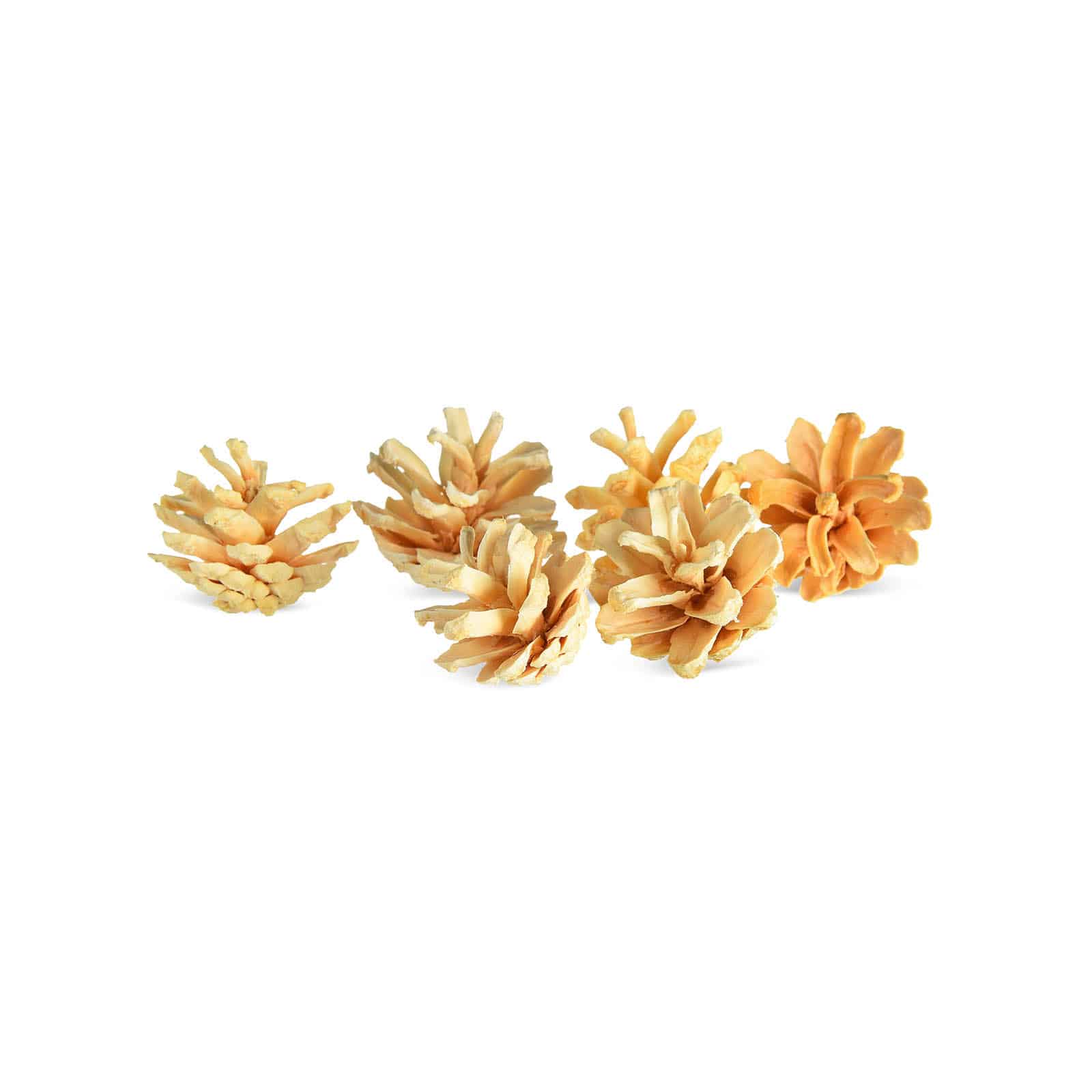 Mini-Deko-Kiefernzapfen