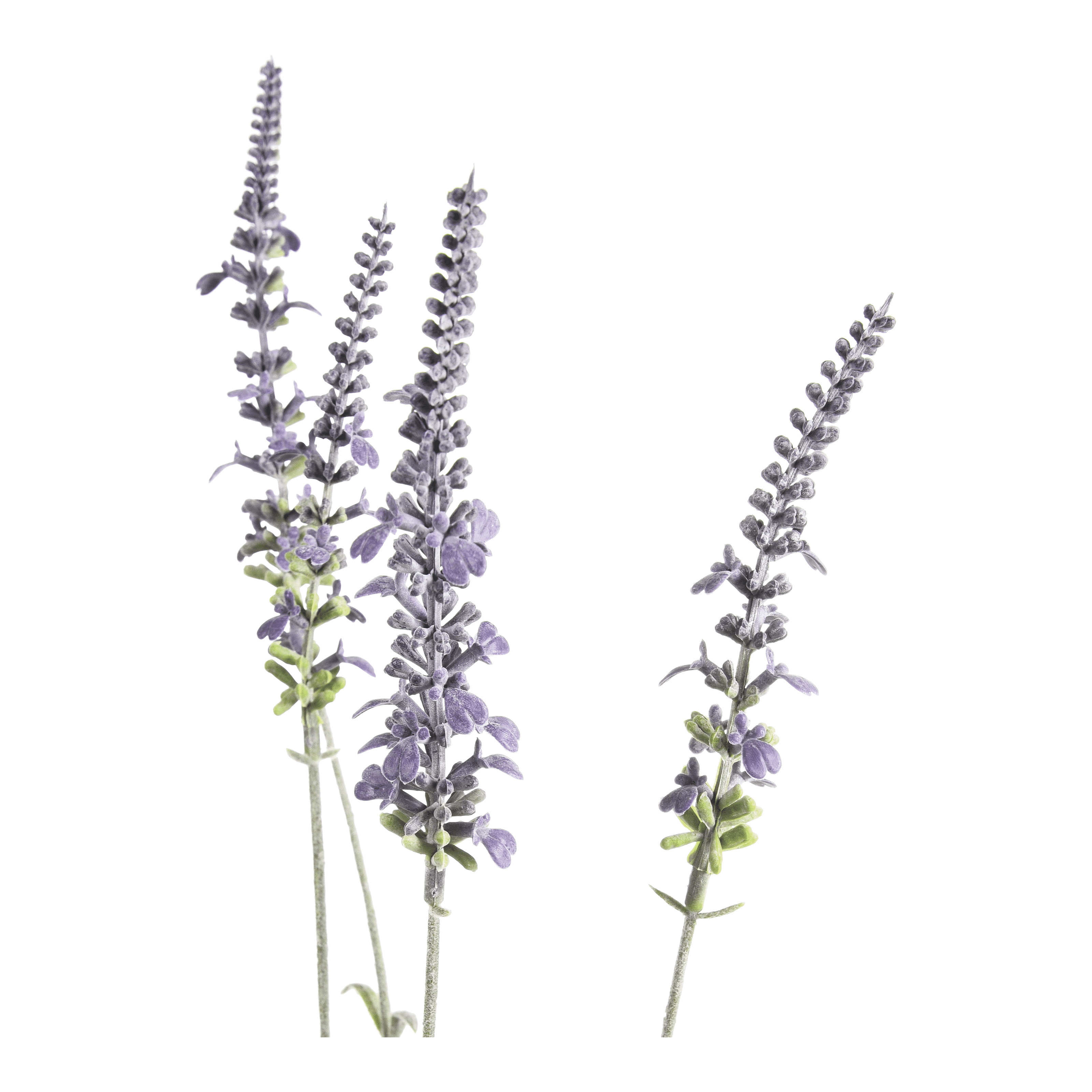 Kunstblume Lavendel