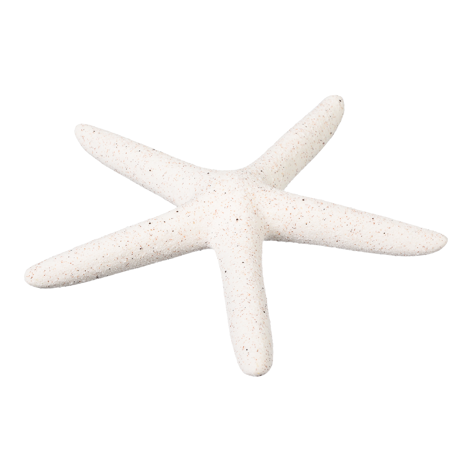 Deko-Objekt Seestern