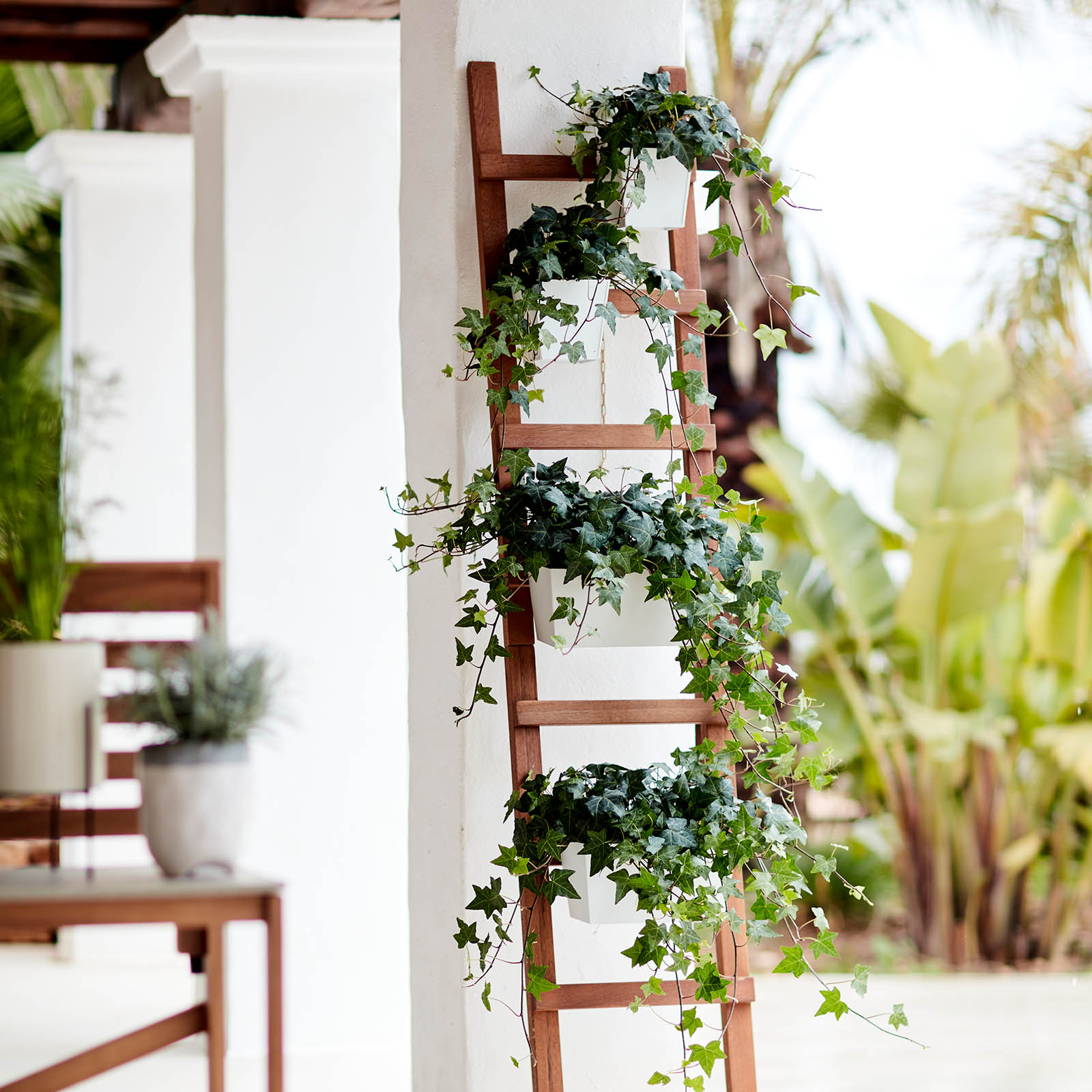 Hänge-Blumenkasten-Set Lucy