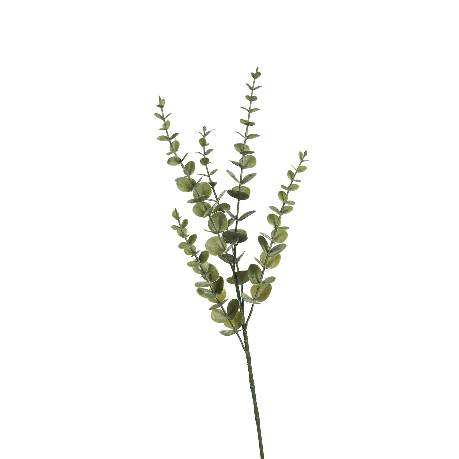 Kunstzweig Eukalyptus
