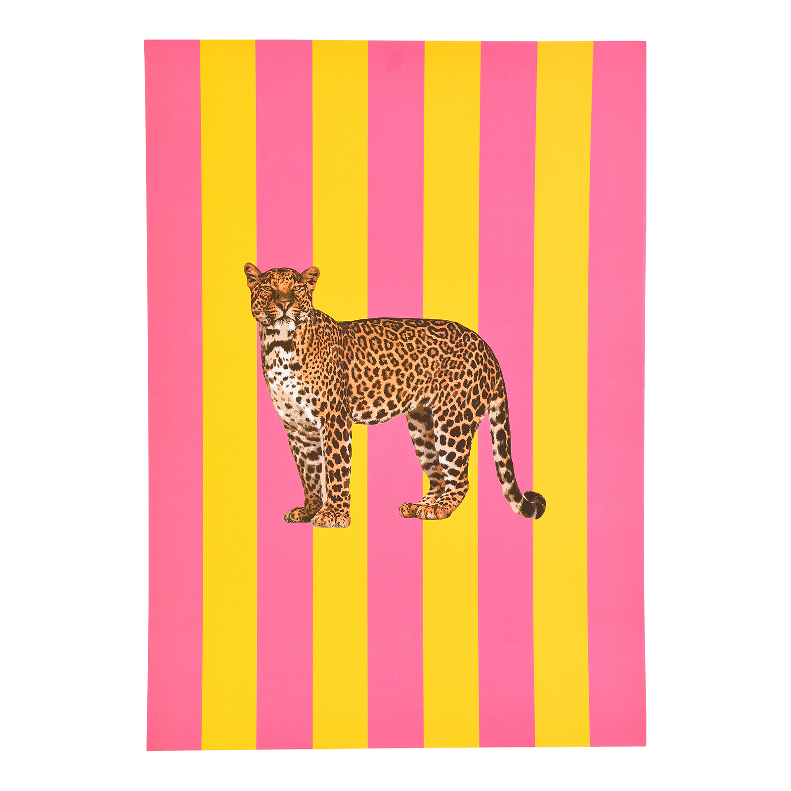 Poster Leopard
