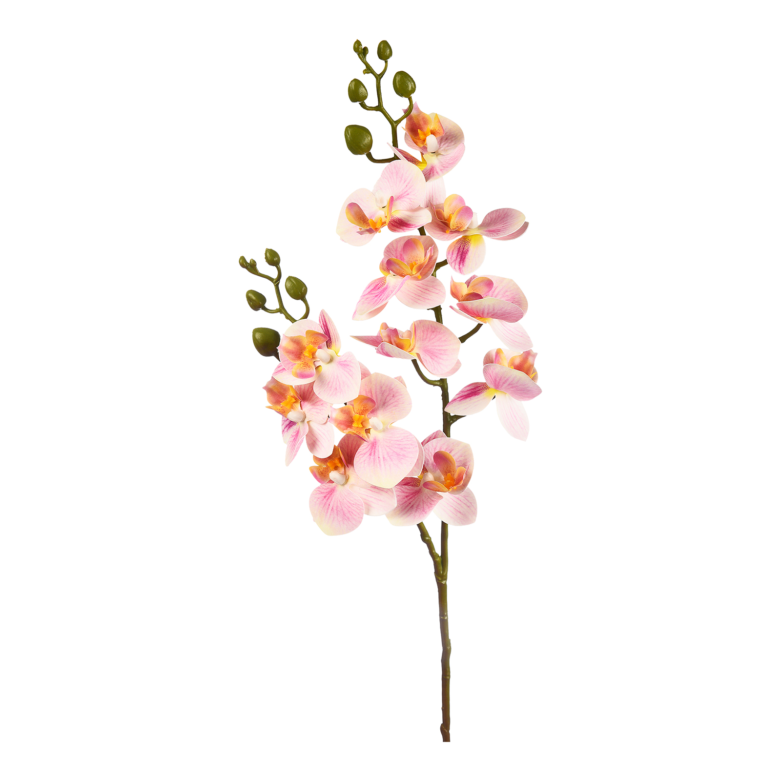 Kunstblume Orchidee