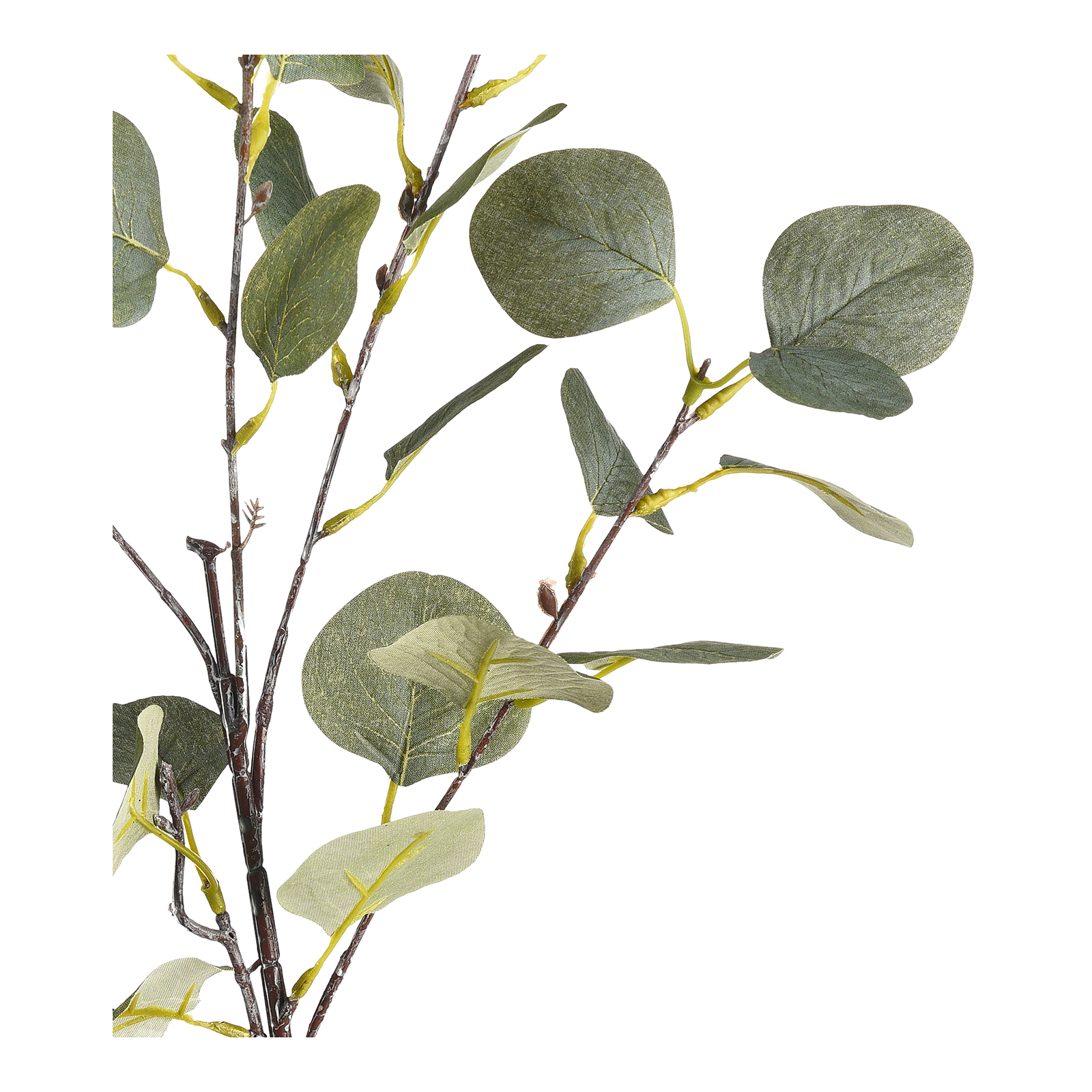 Kunstzweig Eukalyptus