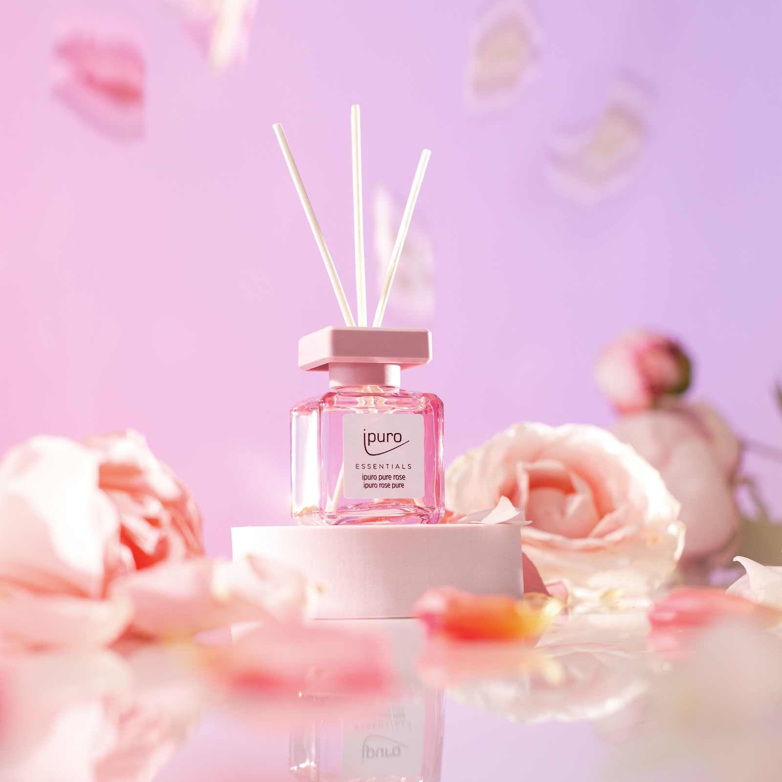 ipuro ESSENTIALS Raumduft Pure Rose