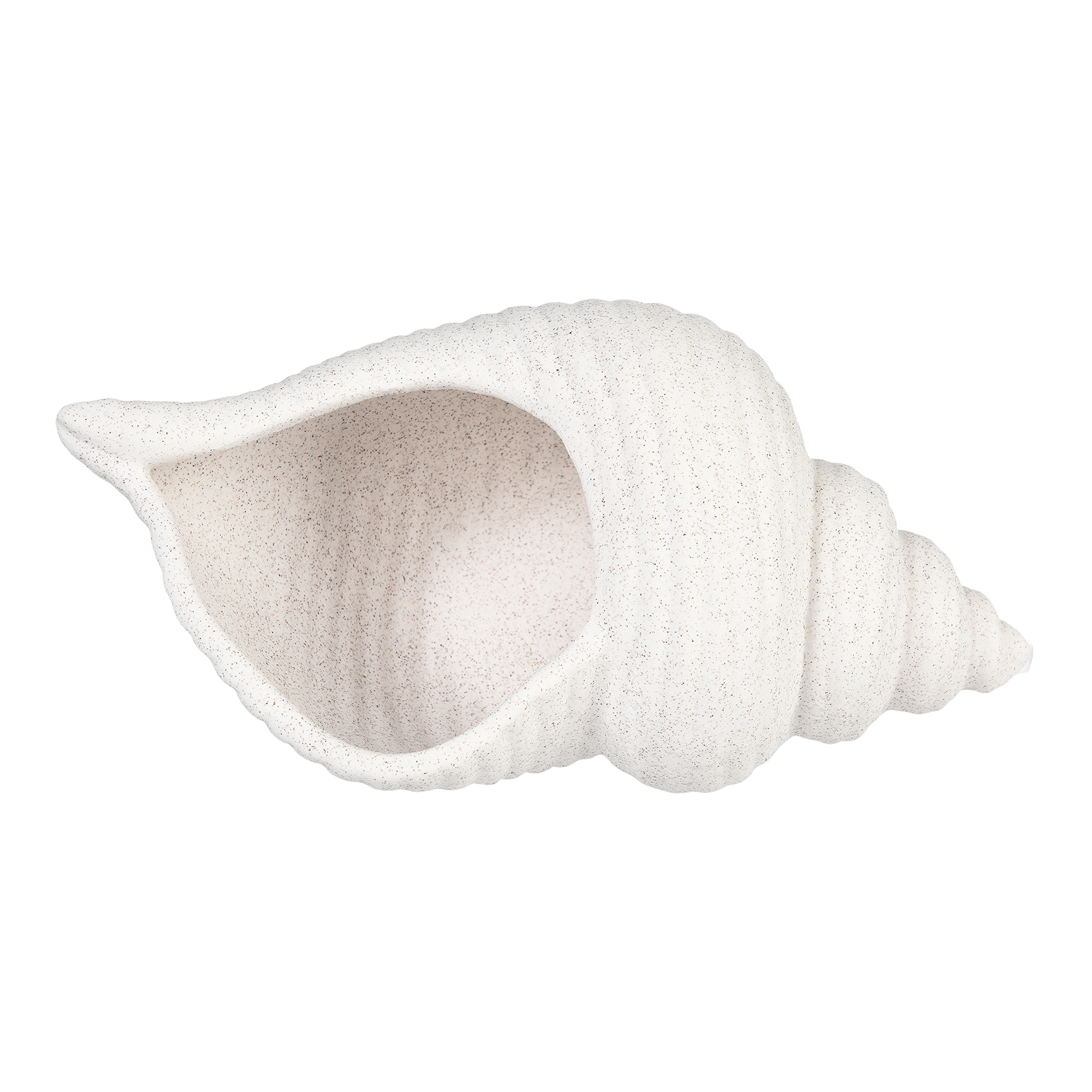 Deko-Objekt Muschel