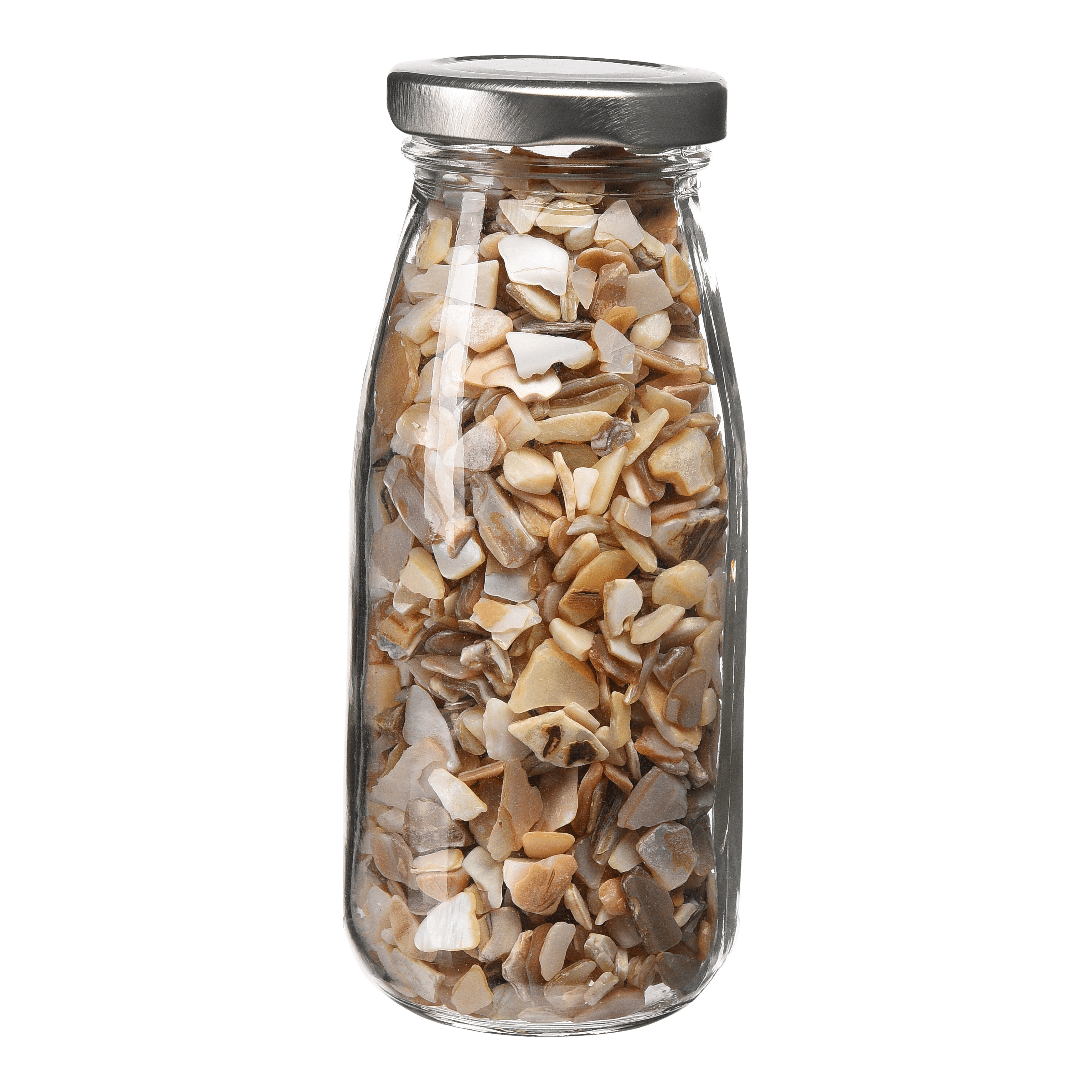 Deko-Muschelmix im Glas