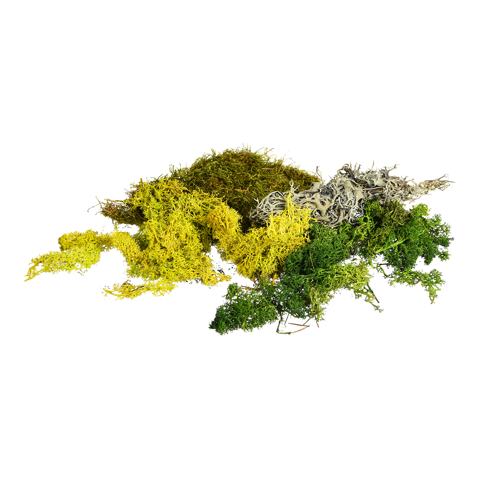 Deko-Moosmix Green