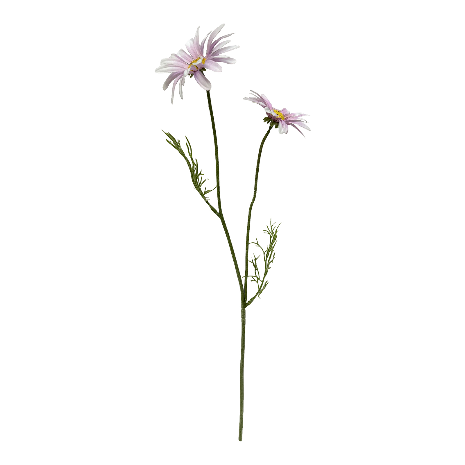 Kunstblume Cosmea