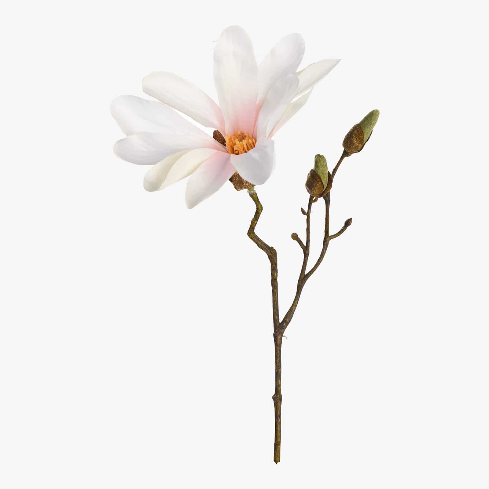 Kunstzweig Magnolie