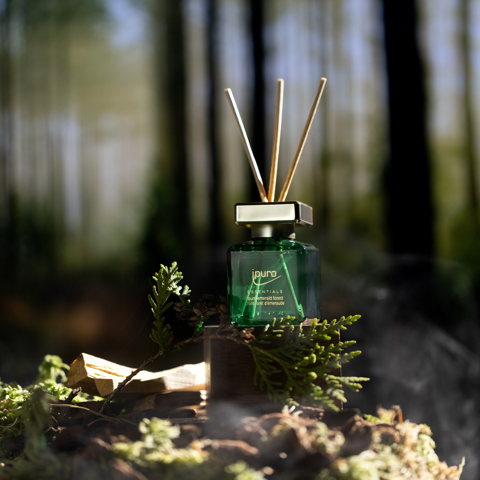 ipuro ESSENTIALS Raumduft Emerald Forest
