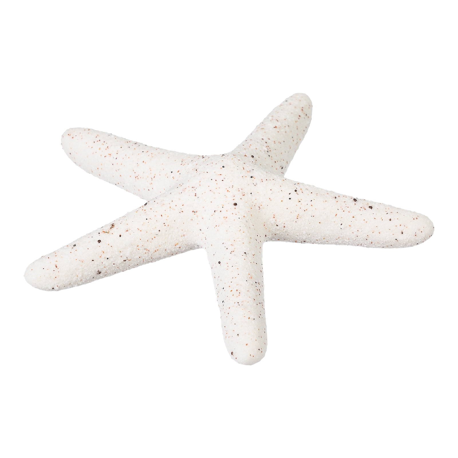 Deko-Objekt Seestern