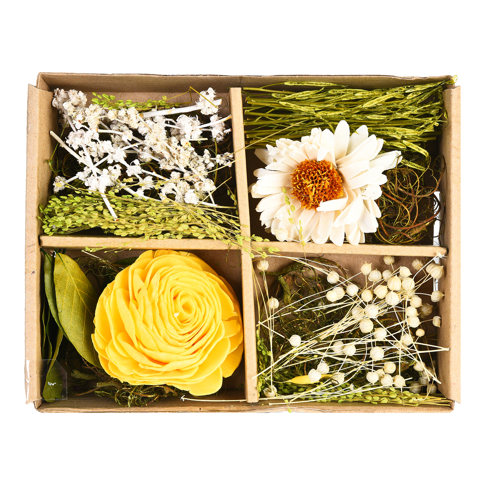 Potpourri Gänseblümchen