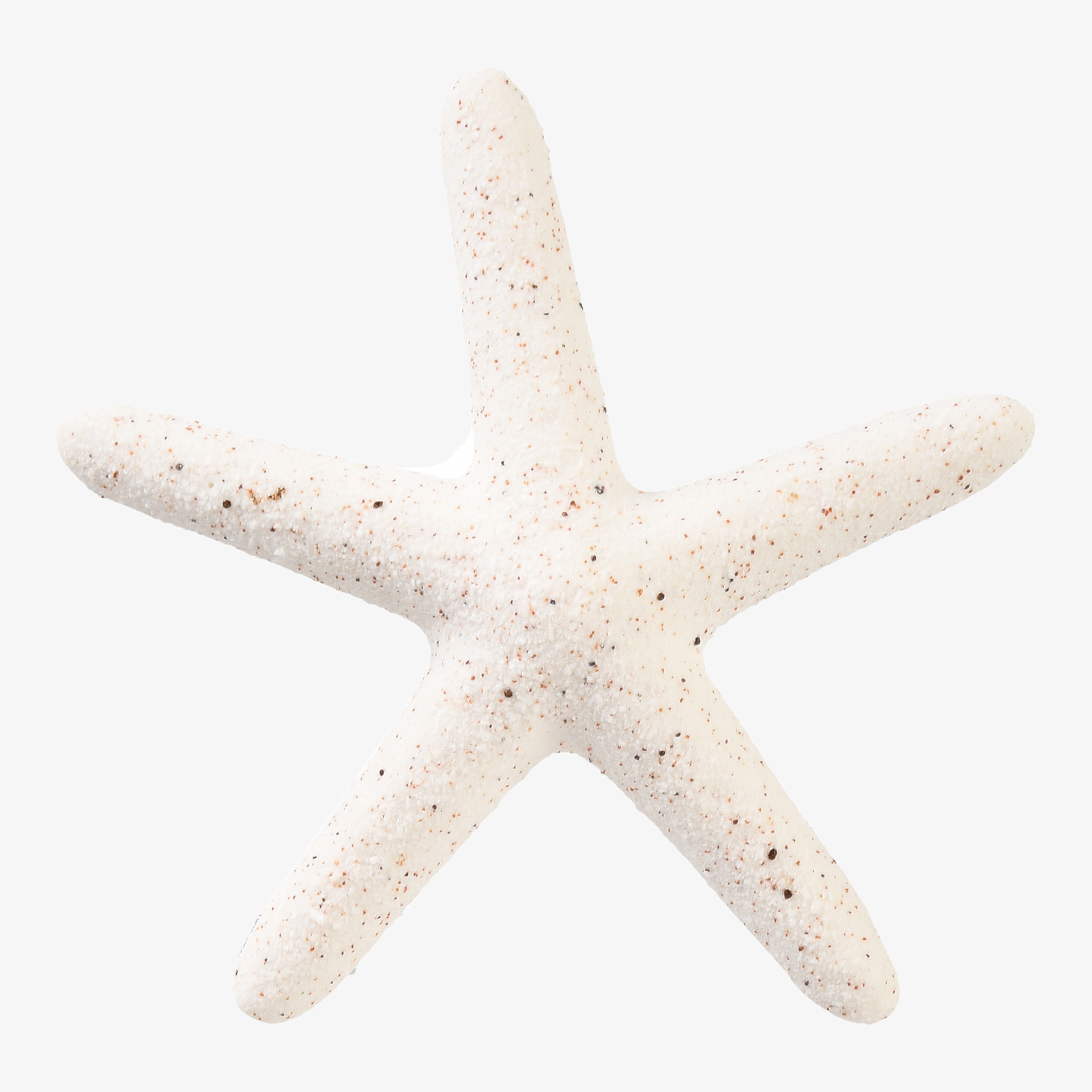 Deko-Objekt Seestern