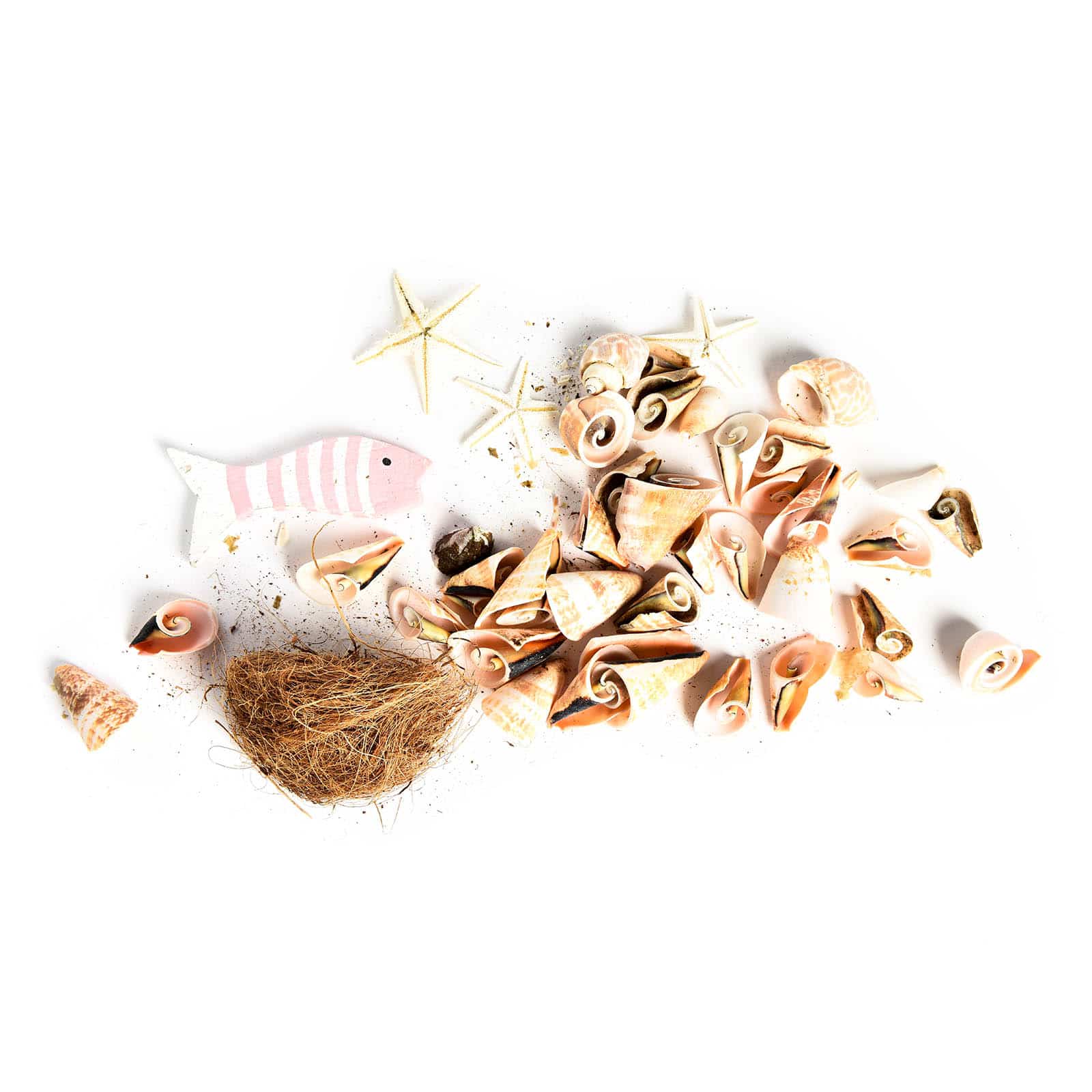 Potpourri Fisch