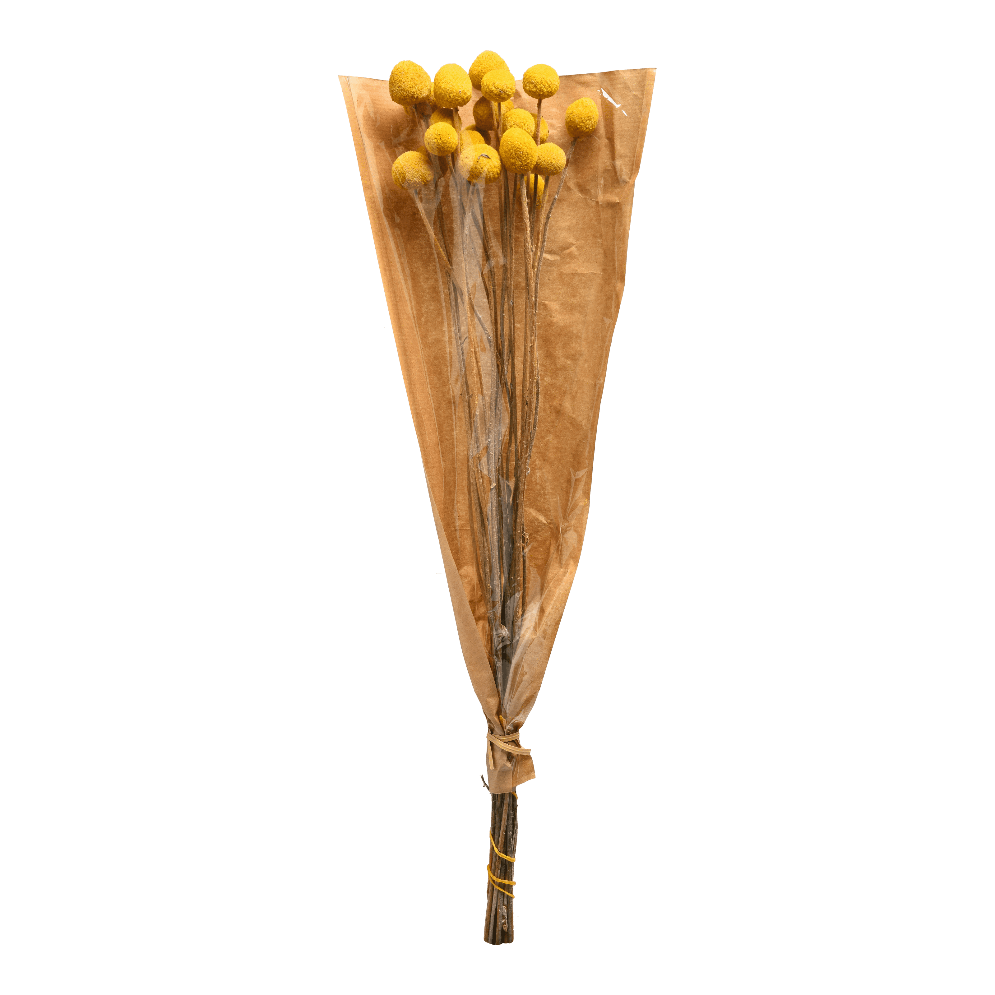 Trockenblumenbund Trommelschlägel
