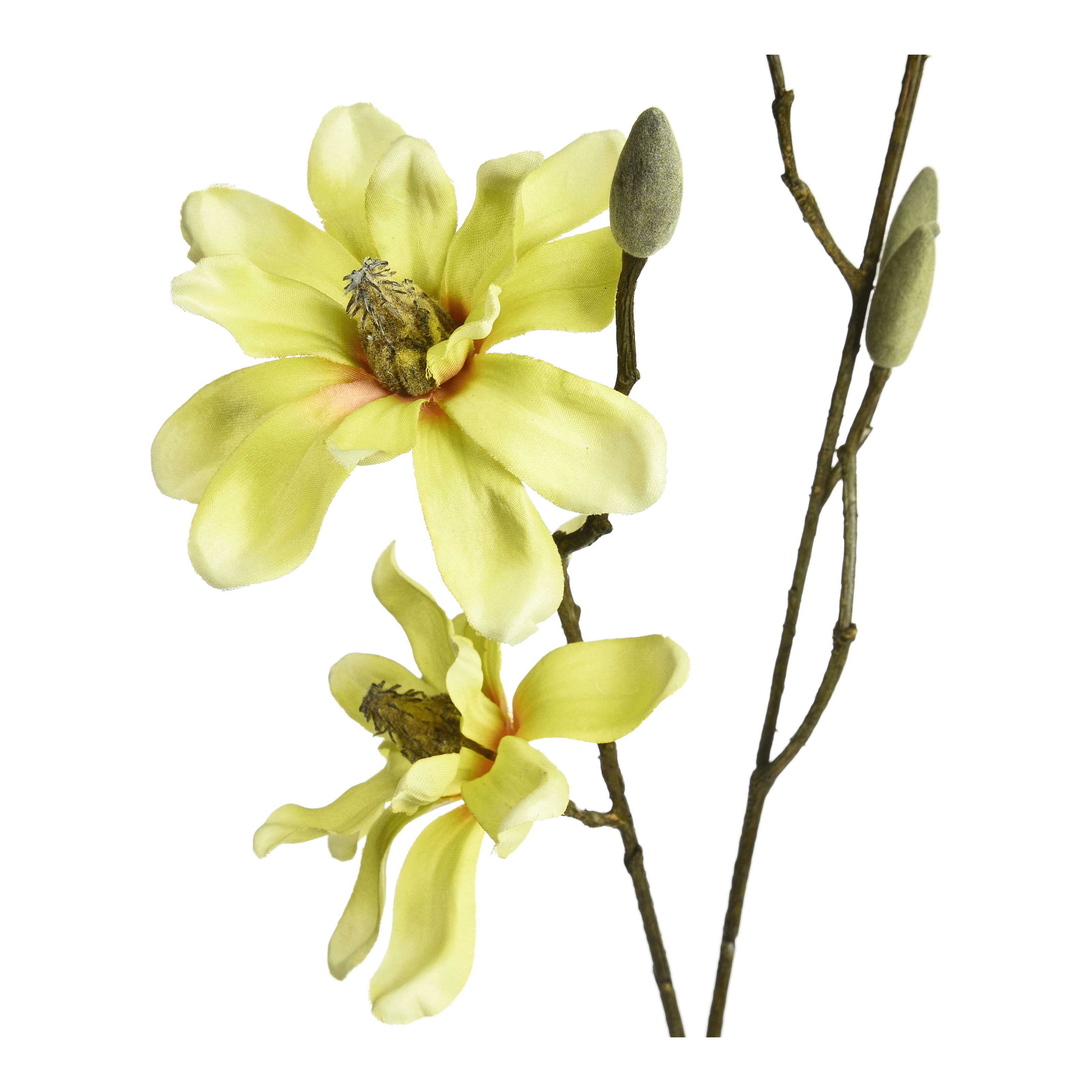 Kunstzweig Magnolie