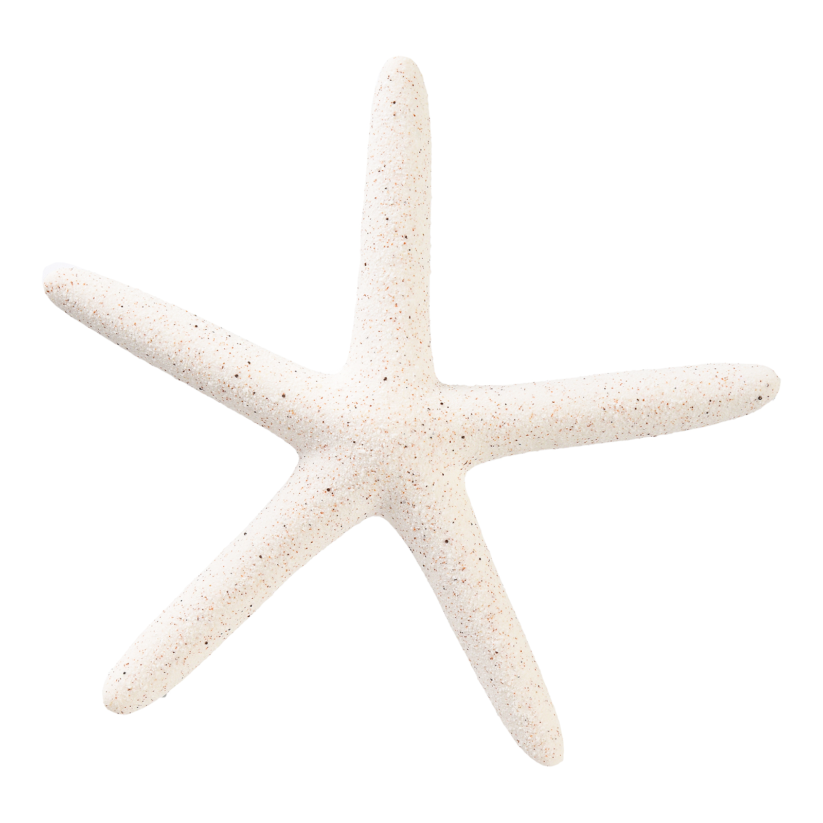 Deko-Objekt Seestern