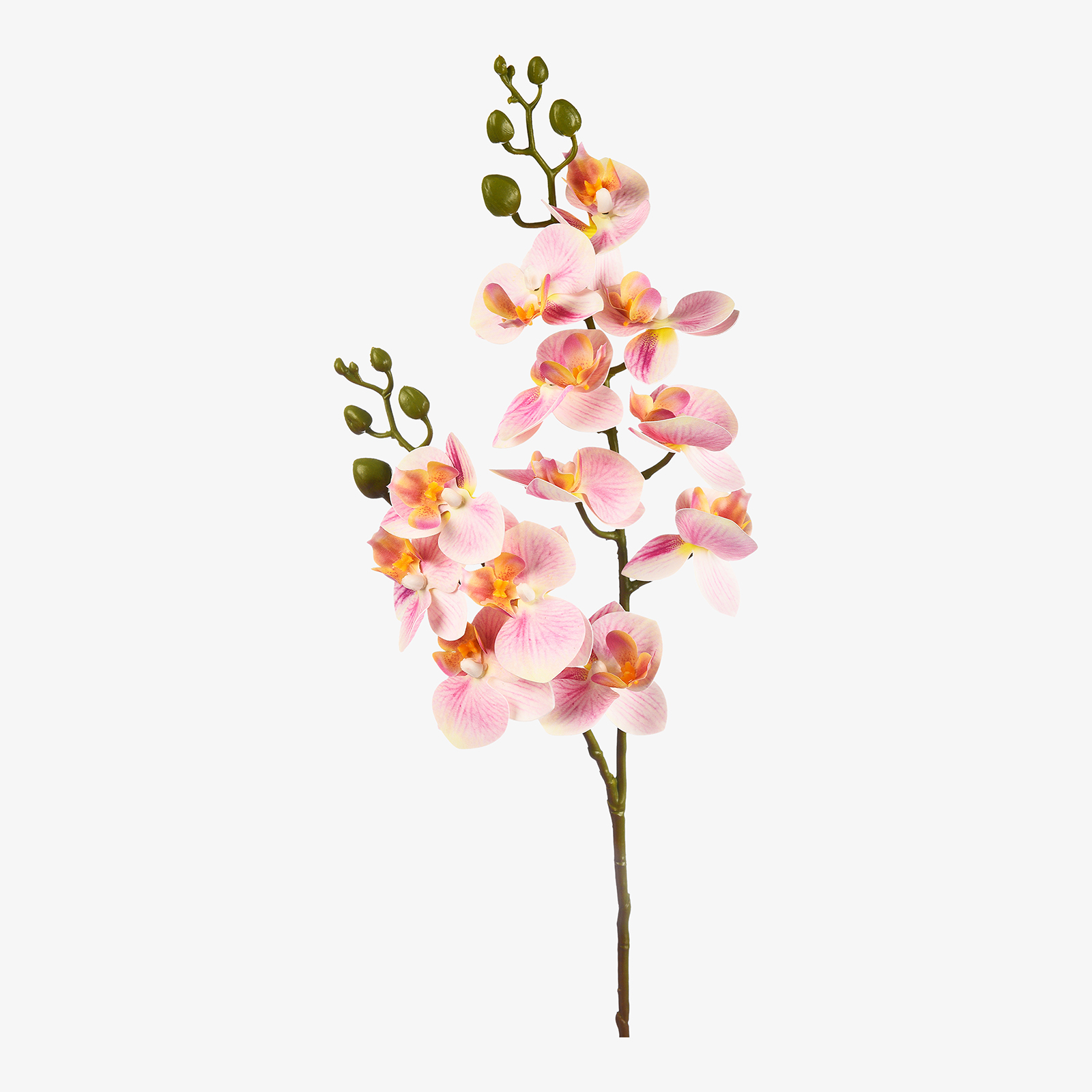 Kunstblume Orchidee