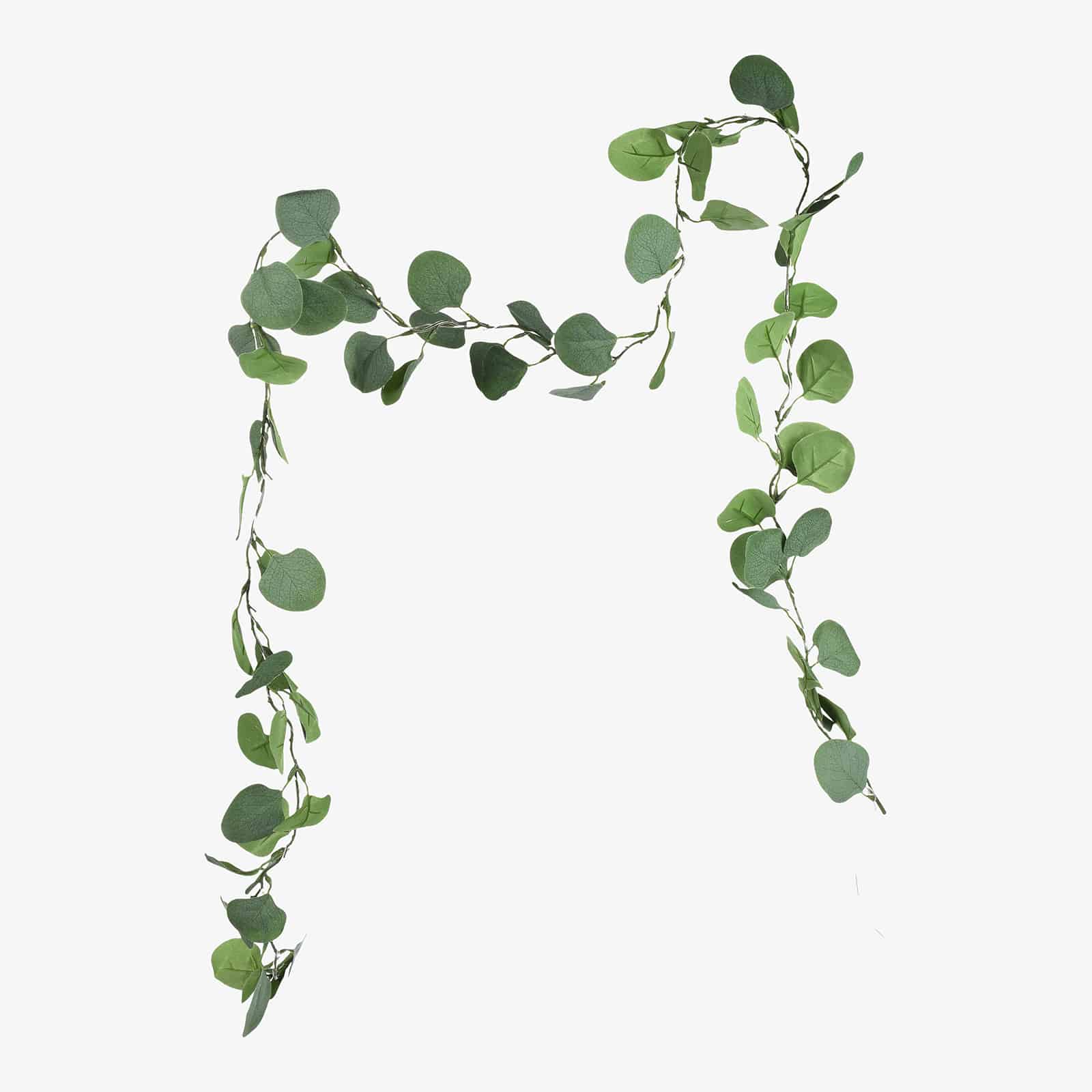 In- & Outdoor-Lichterkette Eukalyptus