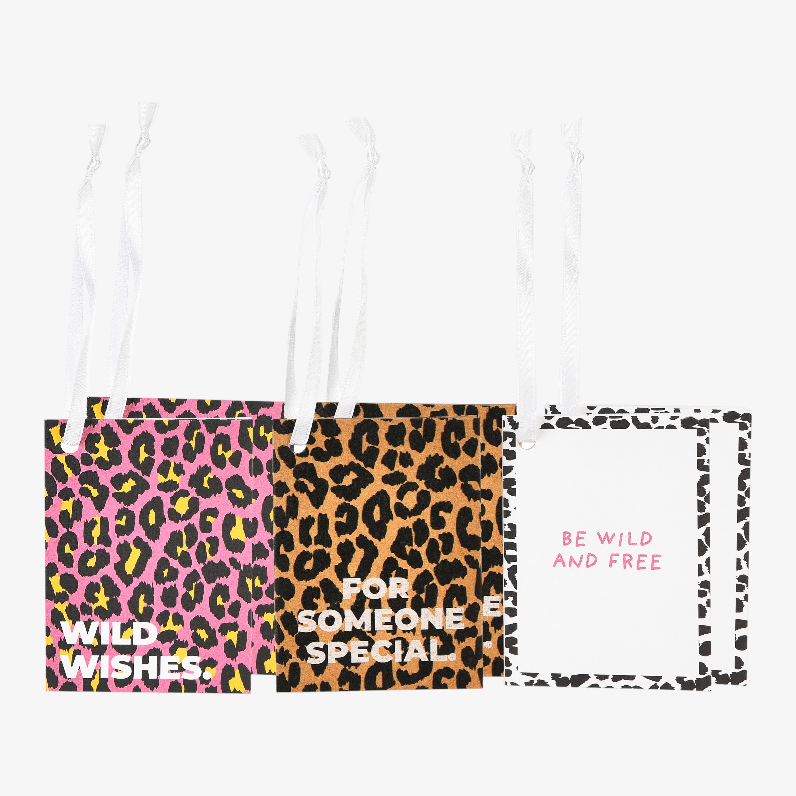 Minikarten-Set Leo