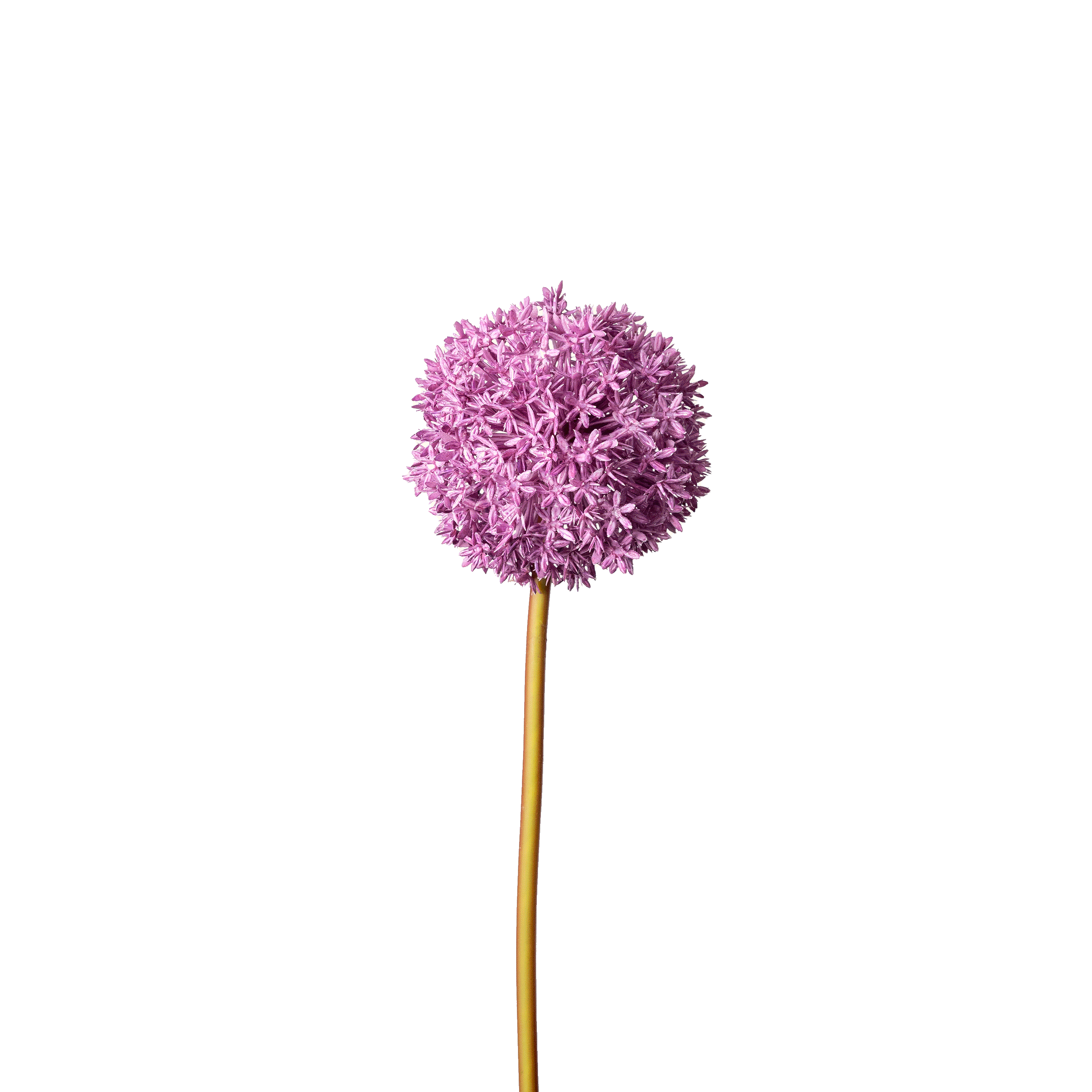 Kunstblume Allium