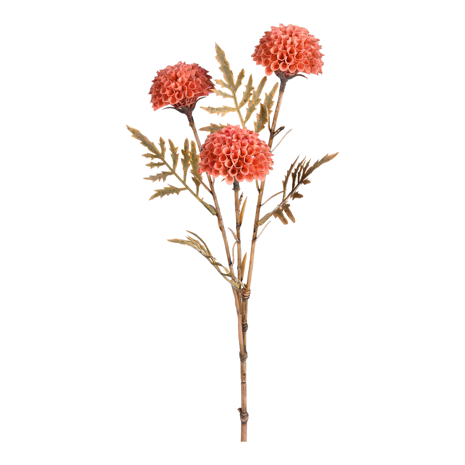 Kunstblume Scabiosa