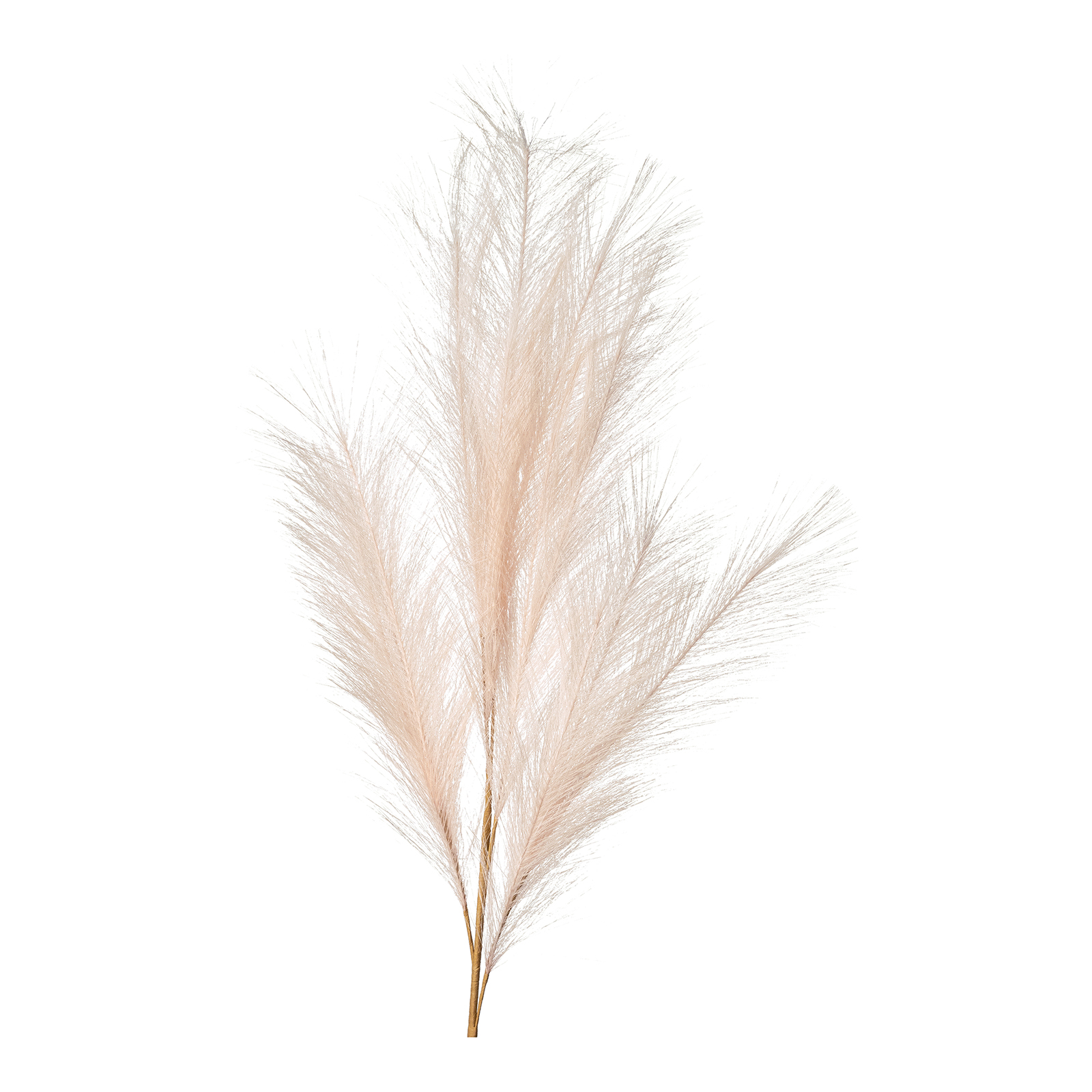 Kunst-Pampasgras