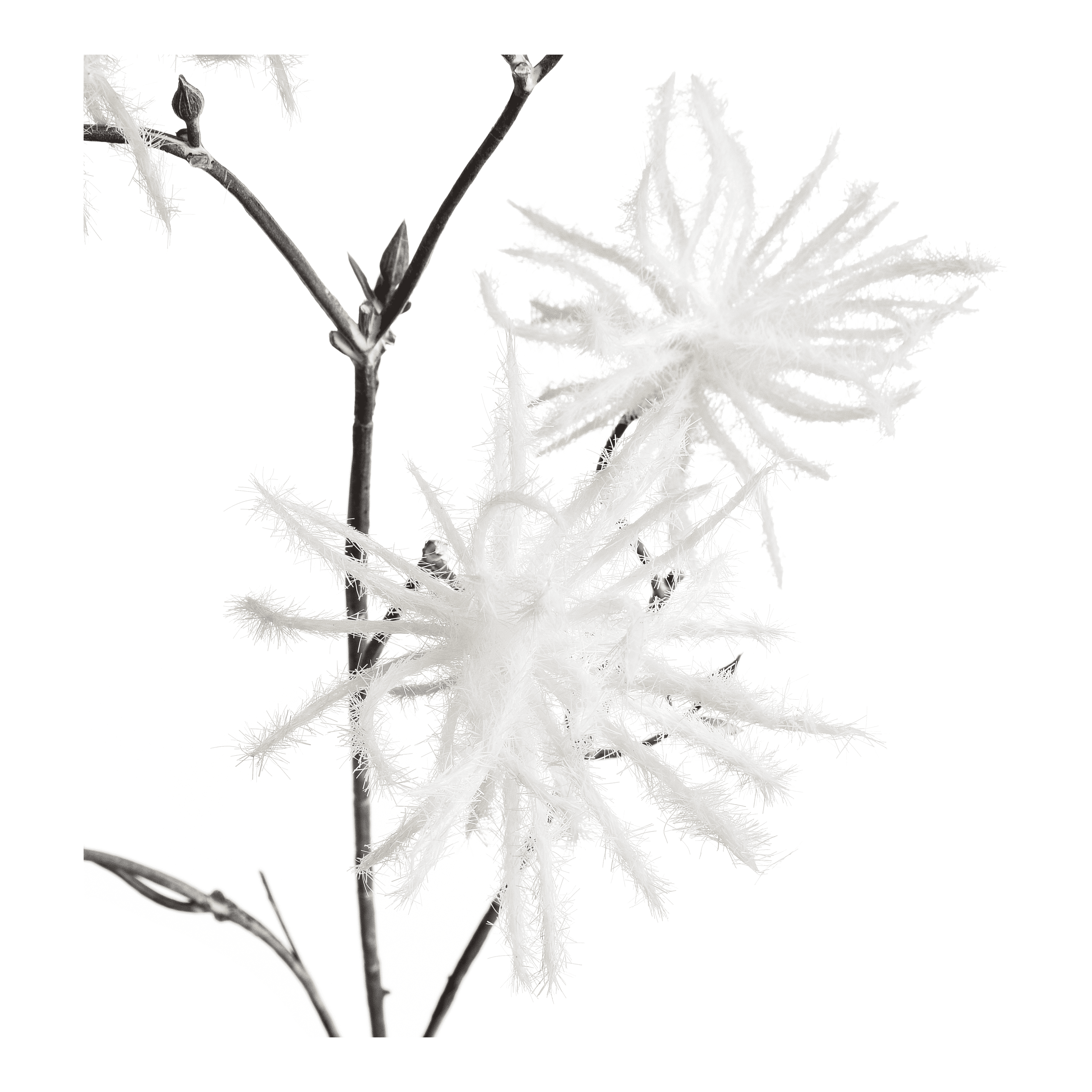 Kunstblume Snowflake