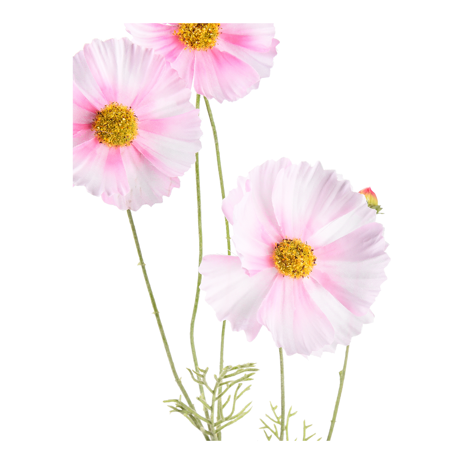 Kunstblume Cosmea