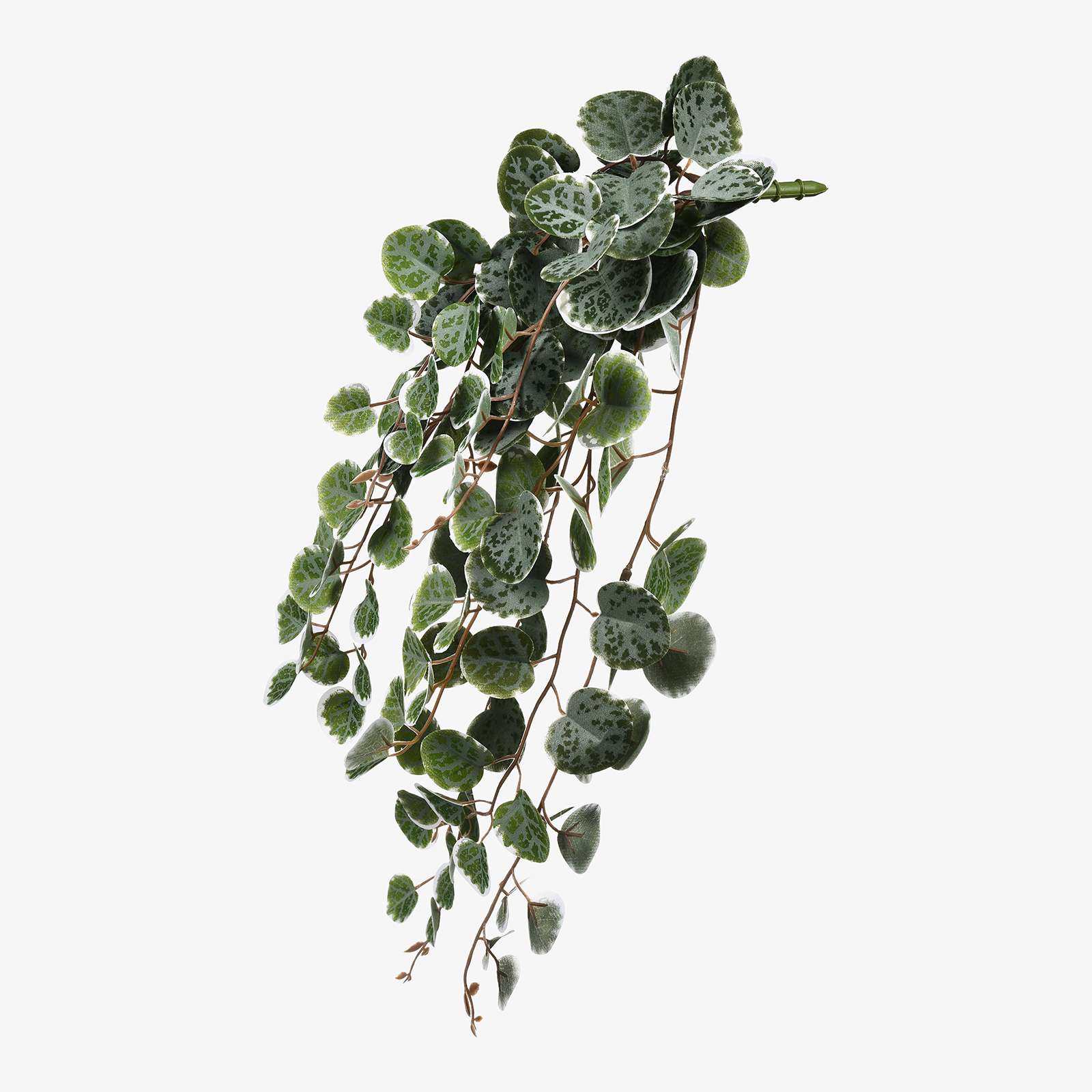 Kunst-Hängepflanze Ceropegia