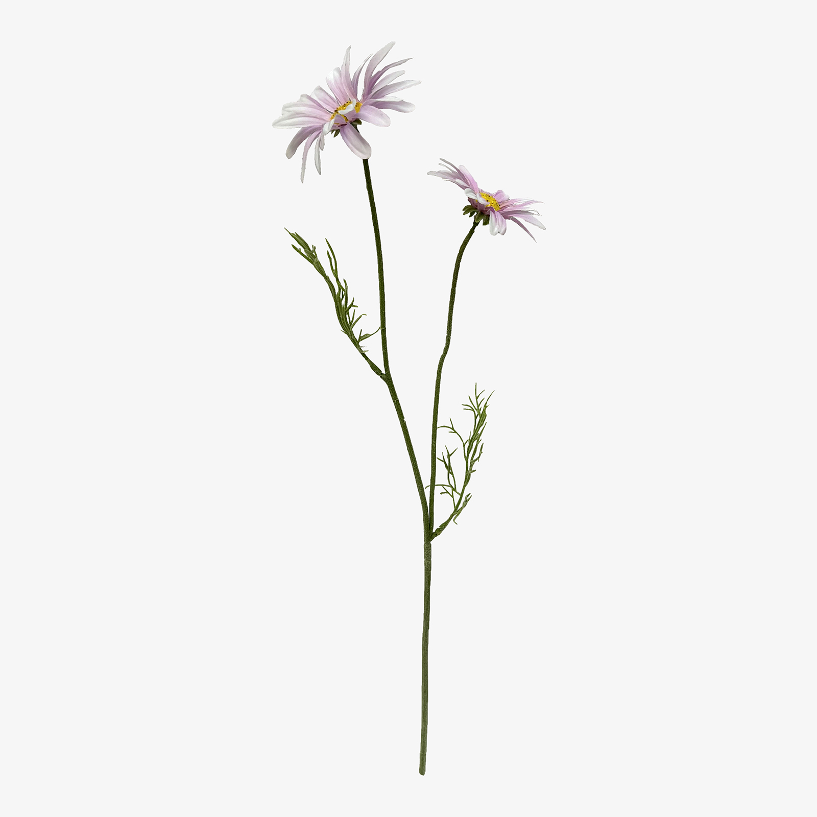 Kunstblume Cosmea